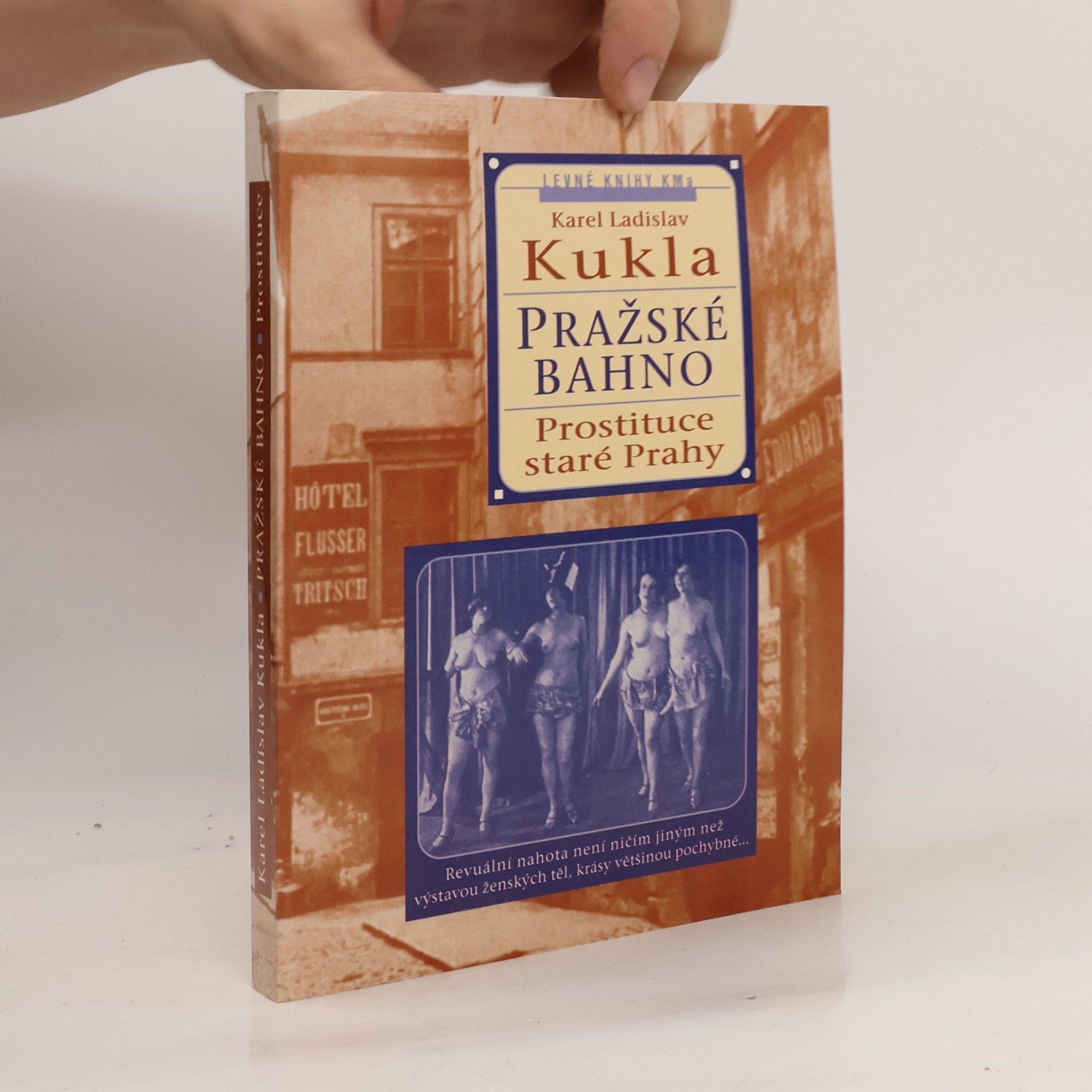 Karel Ladislav Kukla Pražské bahno. 1. díl, Pražská prostituce