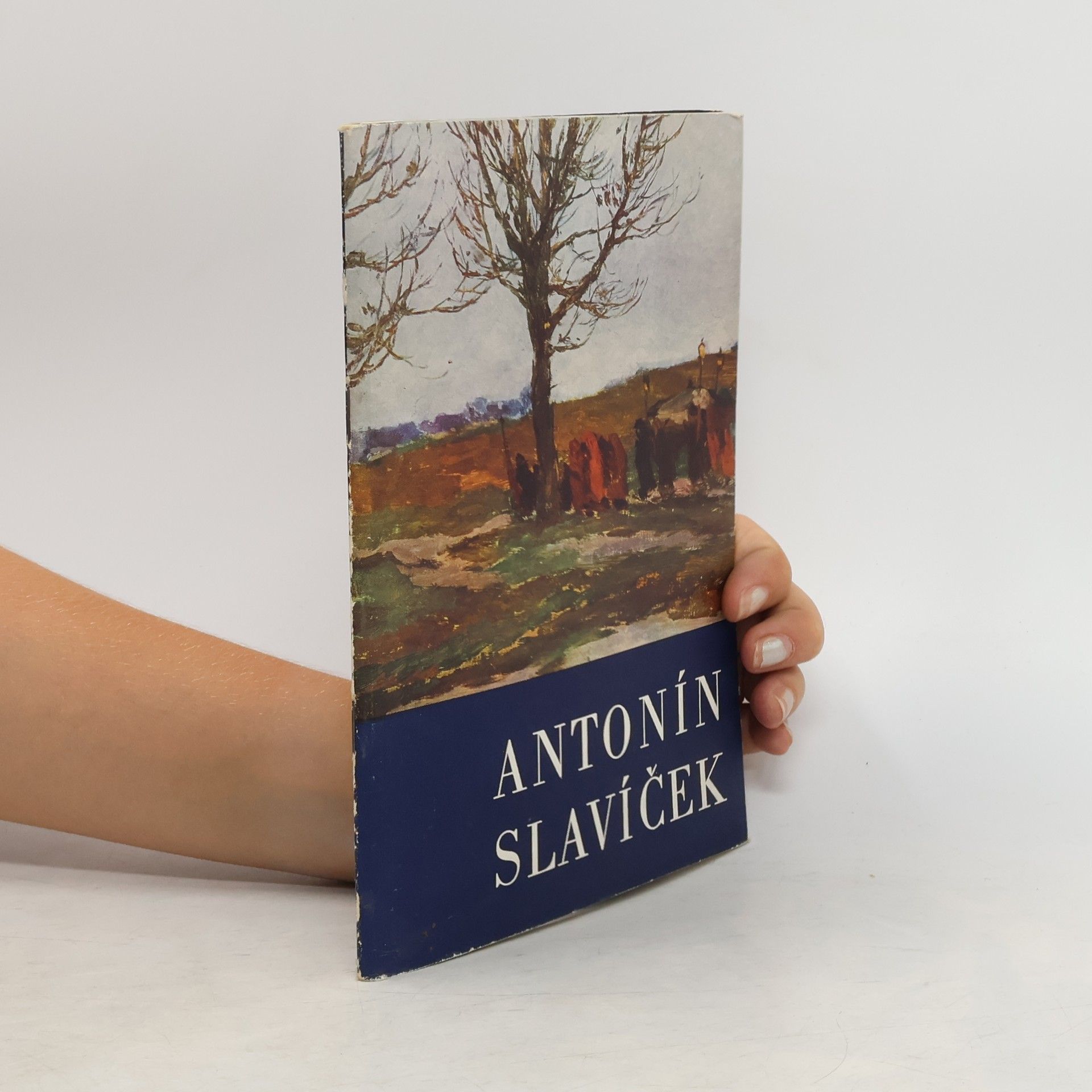 Kolektiv autorů Antonín Slavíček