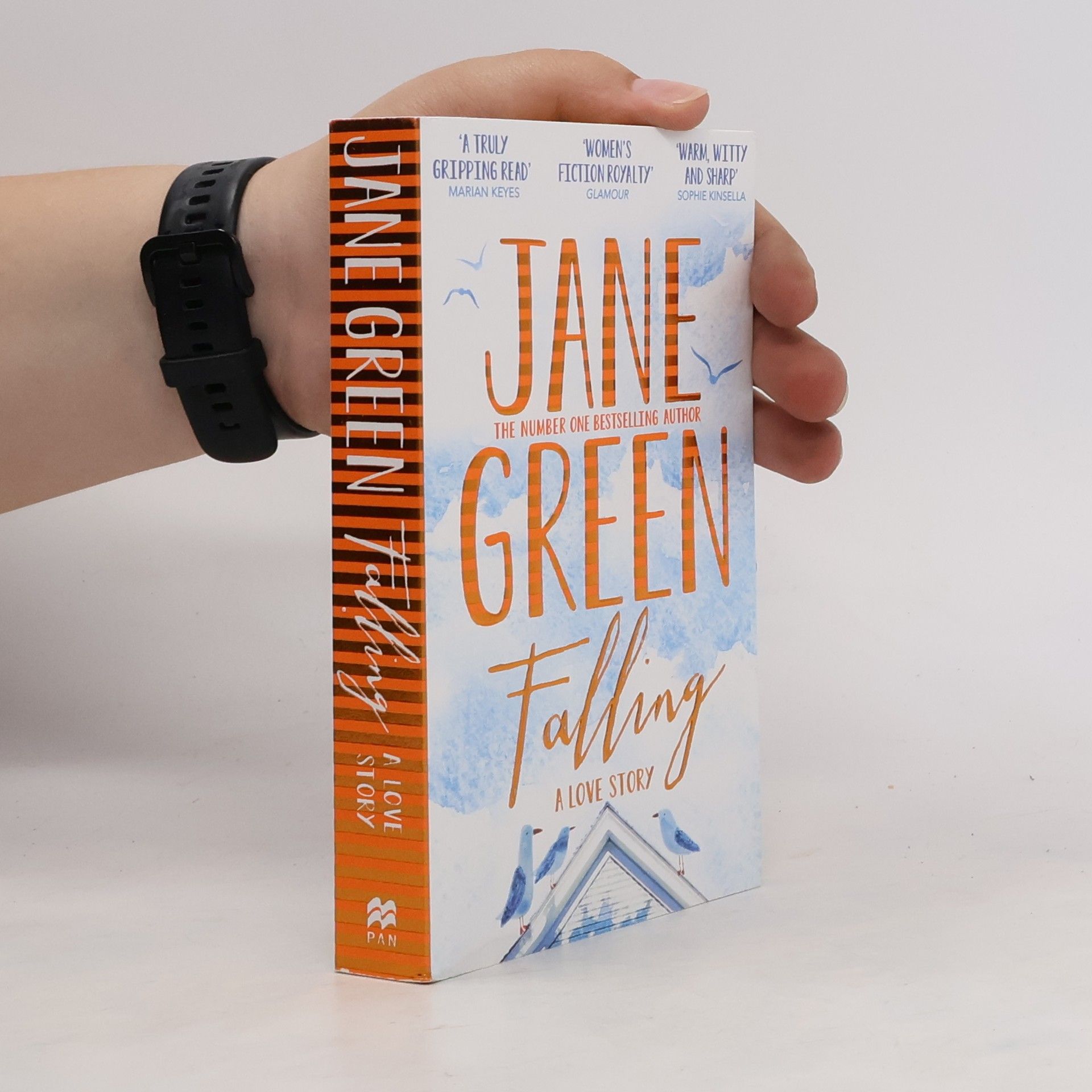 Jane Green Falling