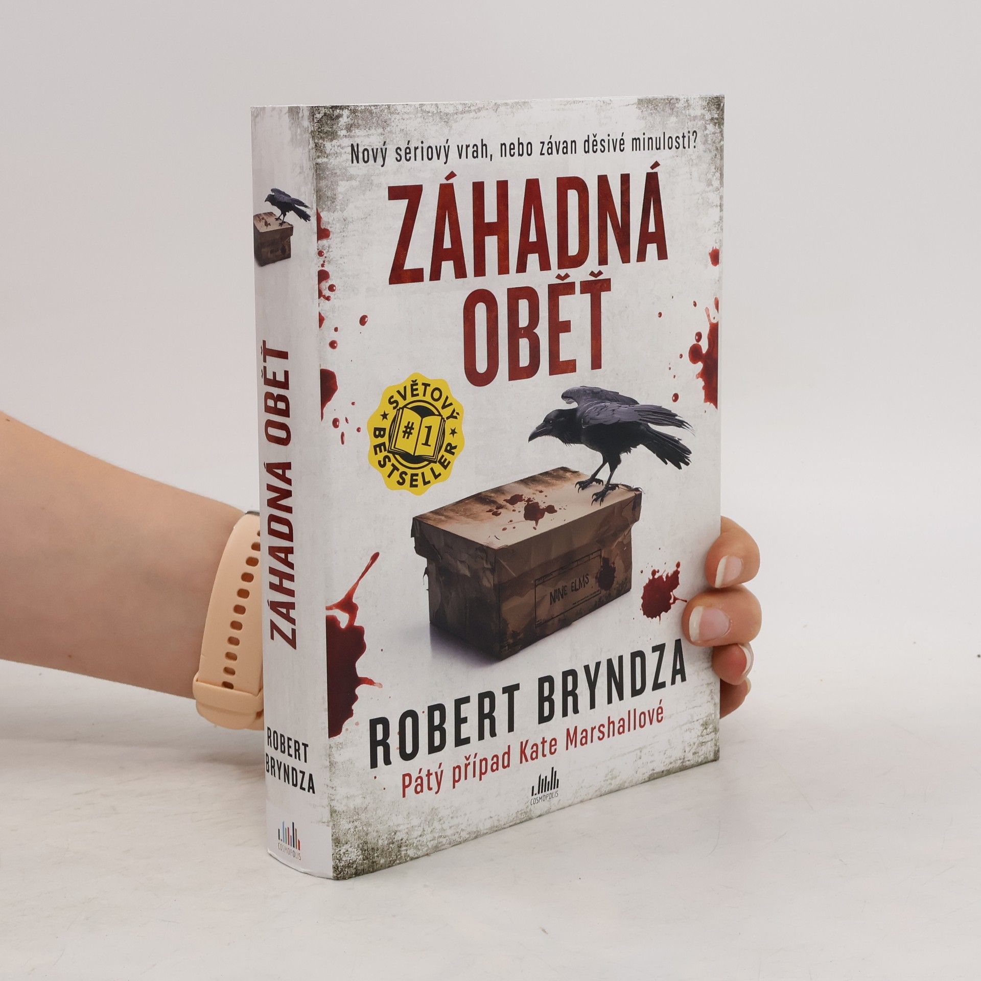 Robert Bryndza Záhadná oběť
