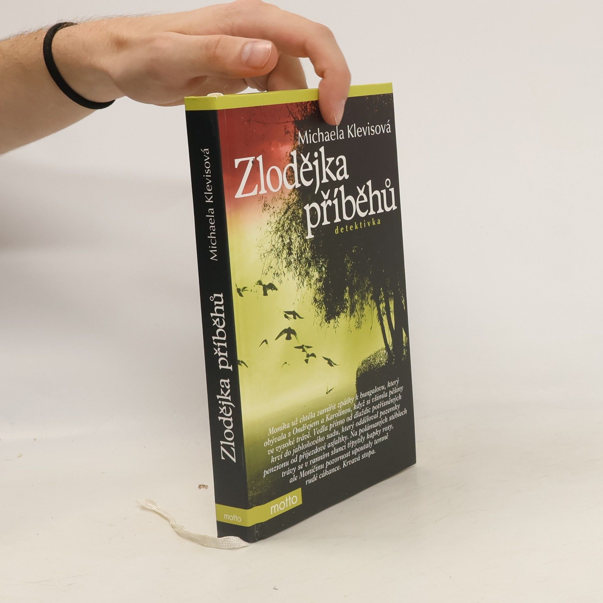 Michaela Klevisová Zlodějka příběhů