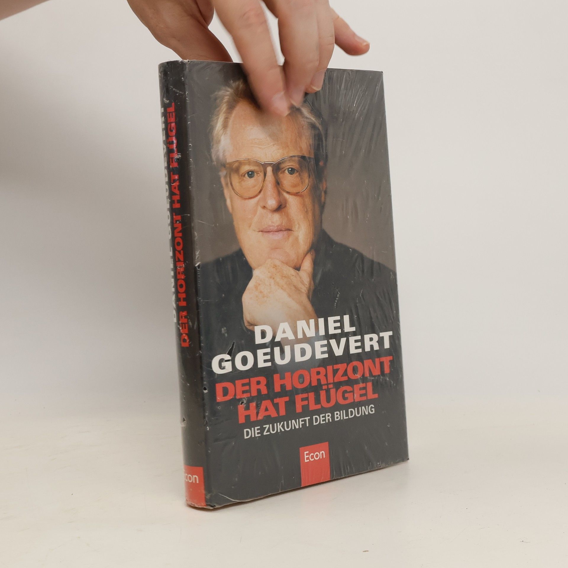 Daniel Goeudevert Der Horizont hat Flügel
