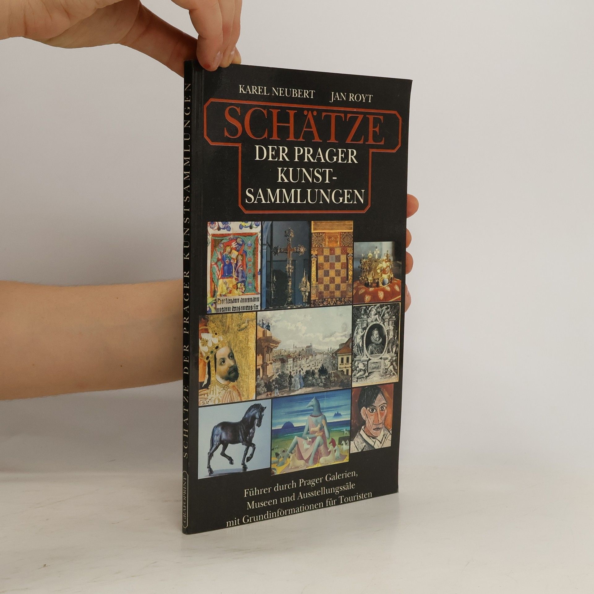 Karel Neubert Schätze der Prager Kunstsammlungen