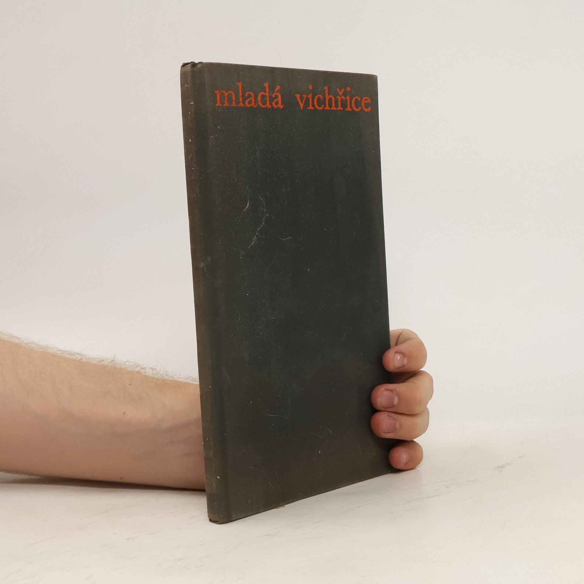 AA.VV. Mladá vichřice