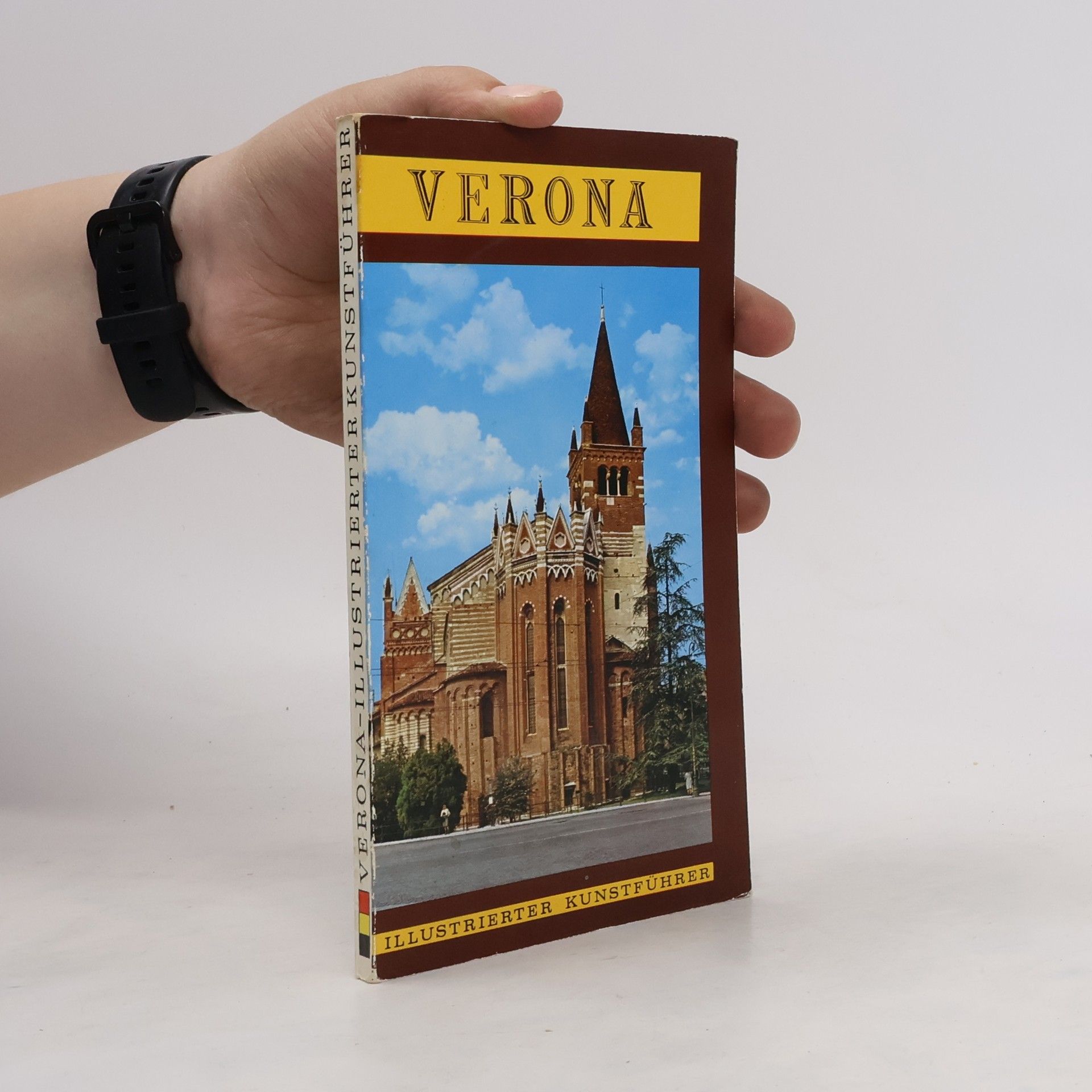 Auteurscollectief Kunstführer von Verona