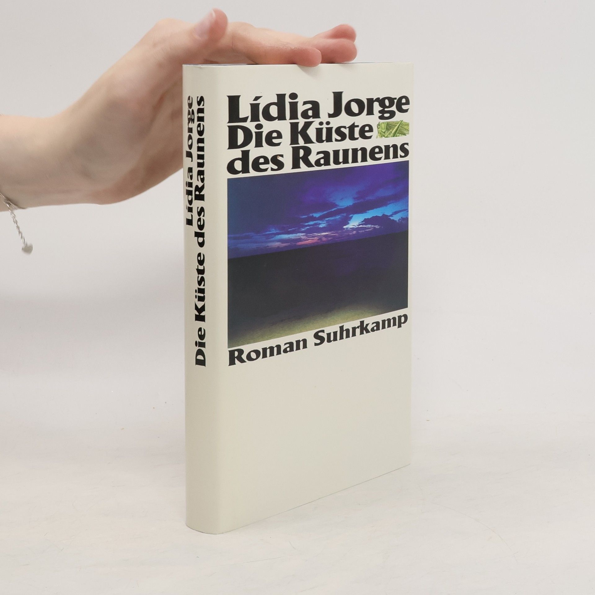 Lídia Jorge Die Küste des Raunens