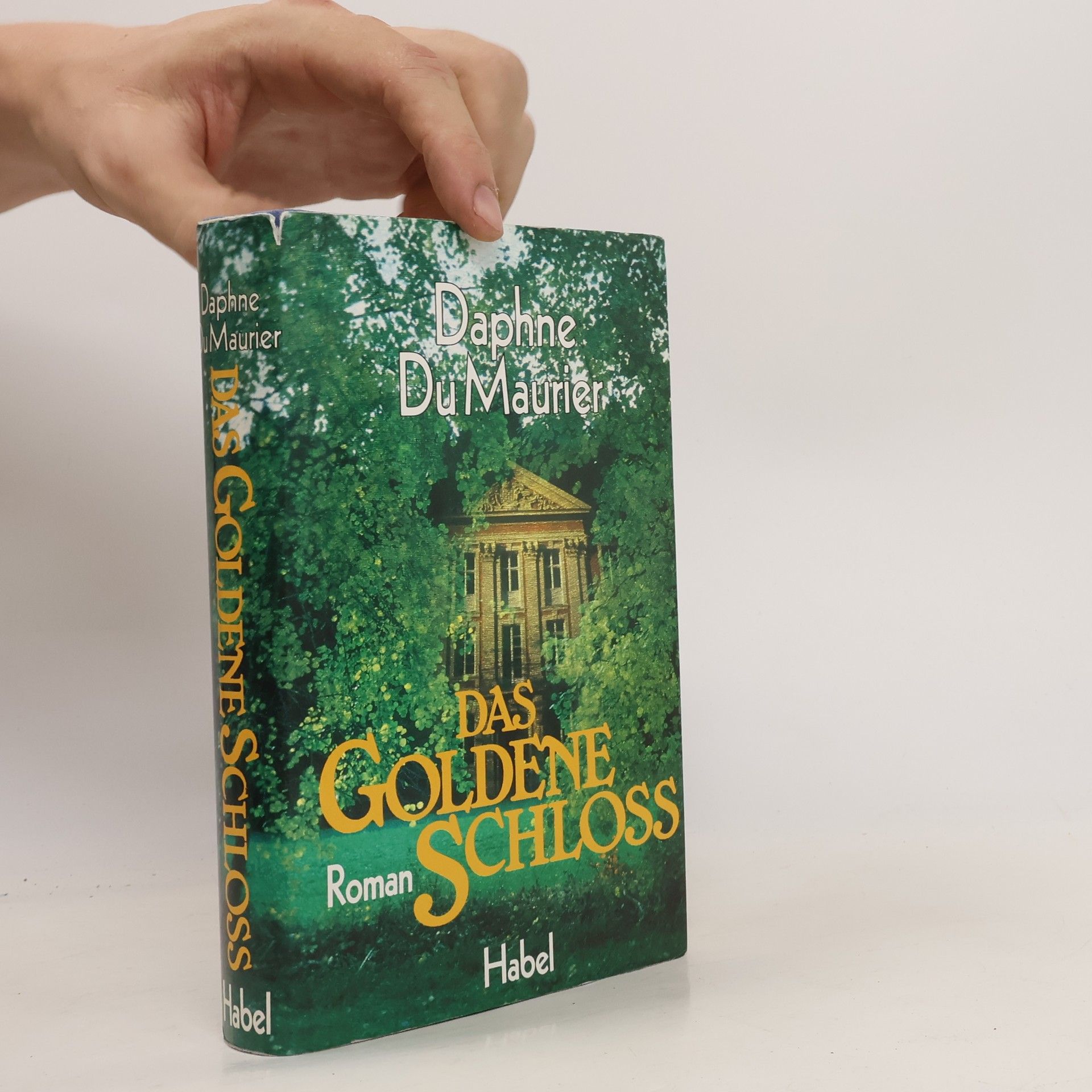 Daphne du Maurier Das goldene Schloss.