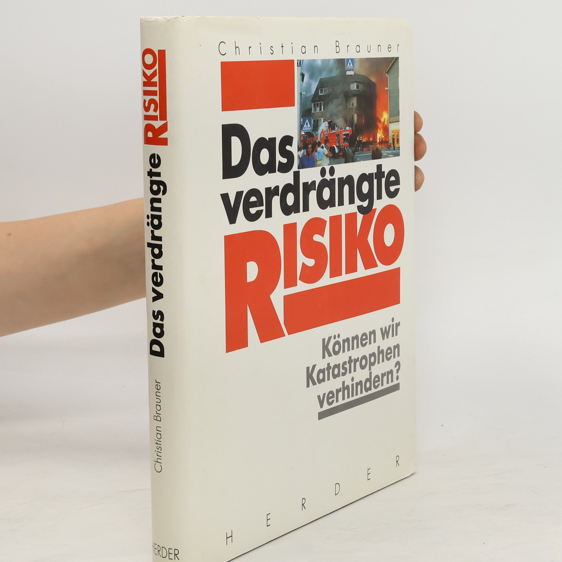 Christian Brauner Das verdrängte Risiko