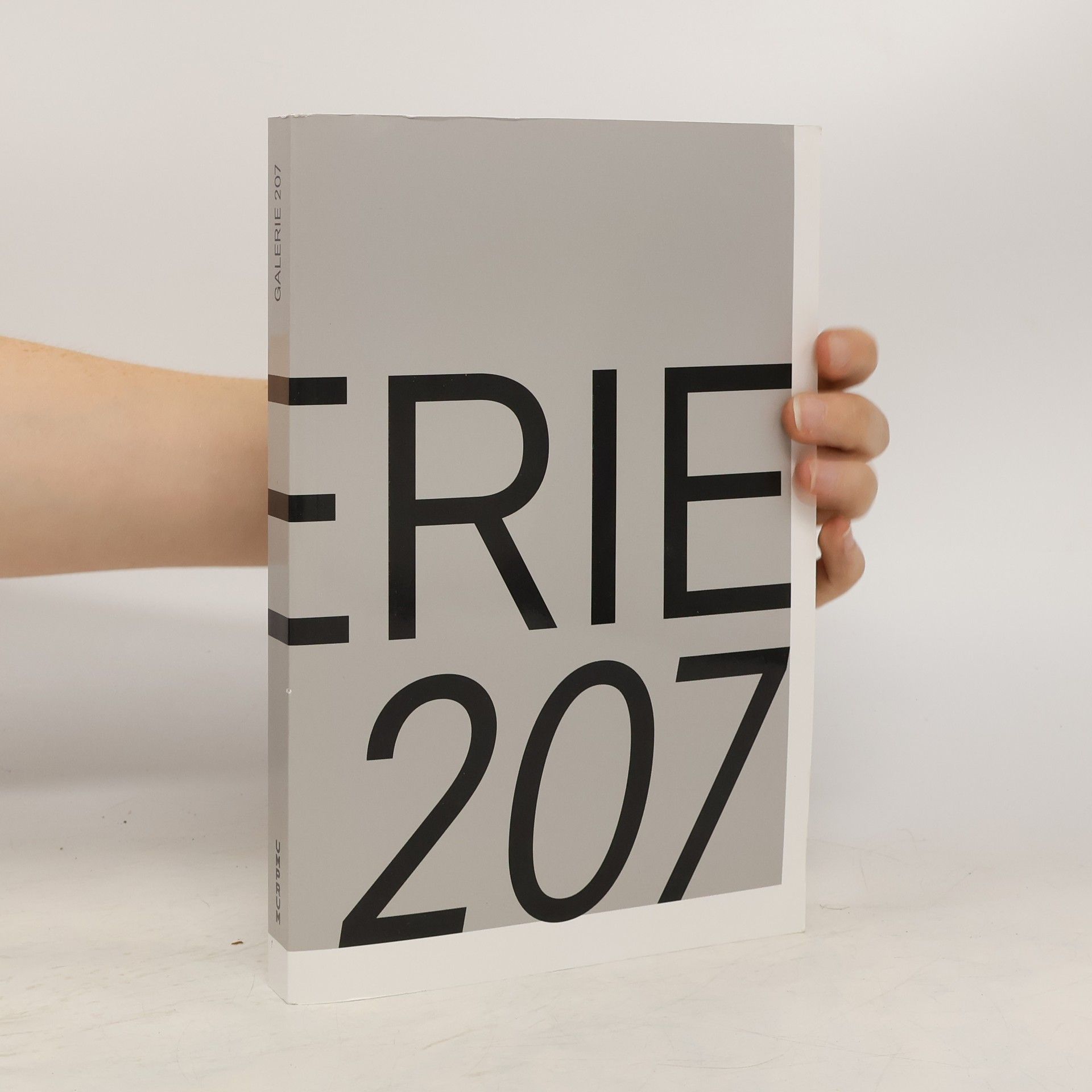 Petr Krátký Galerie 207