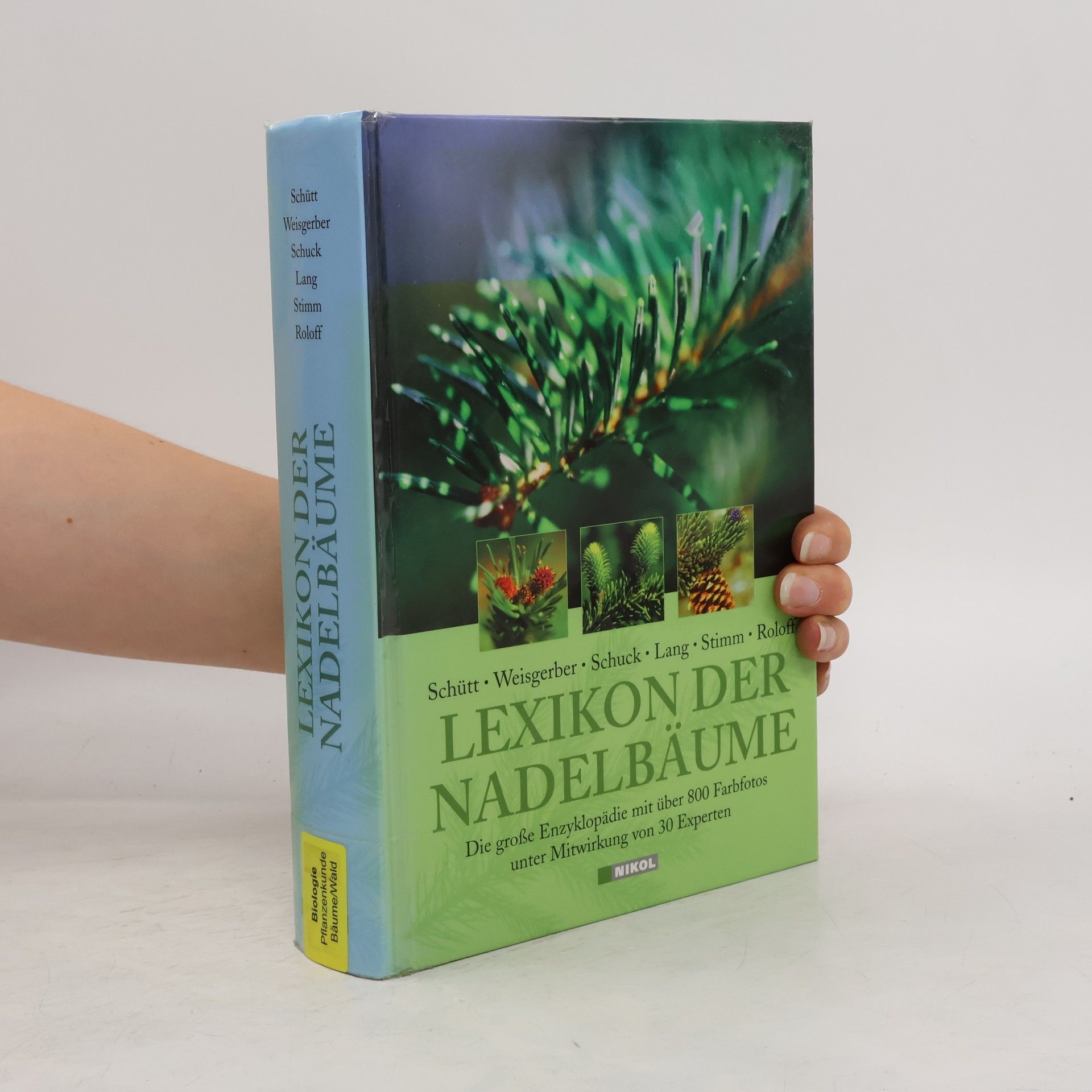 Peter Schütt Lexikon der Nadelbäume