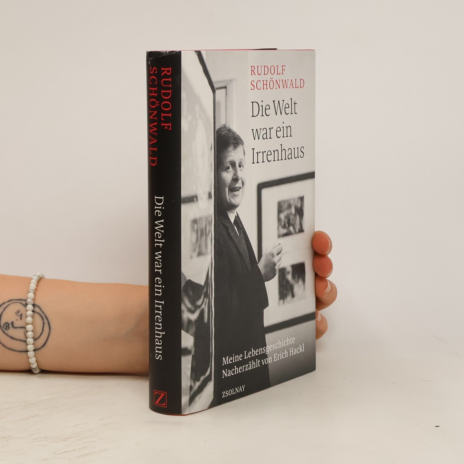 Rudolf Schönwald Die Welt war ein Irrenhaus