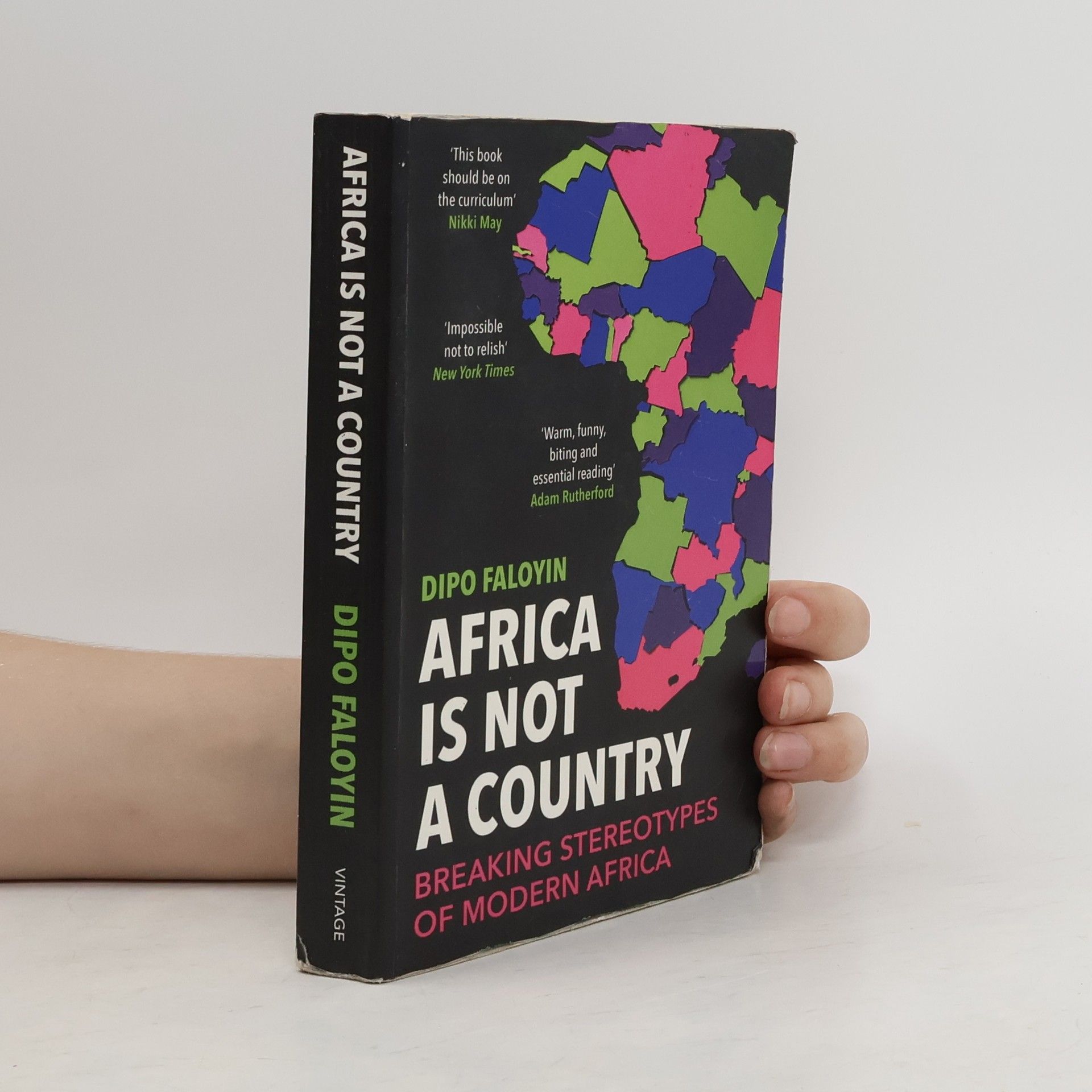 Dipo Faloyin Africa Is Not a Country