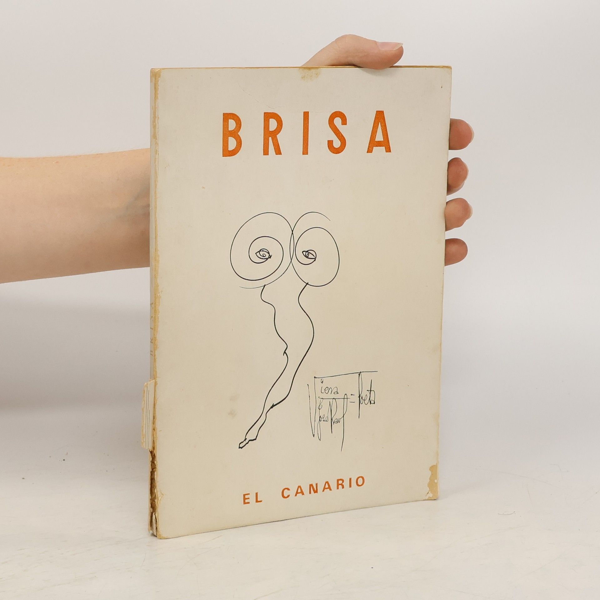 José Raul Viera Brisa