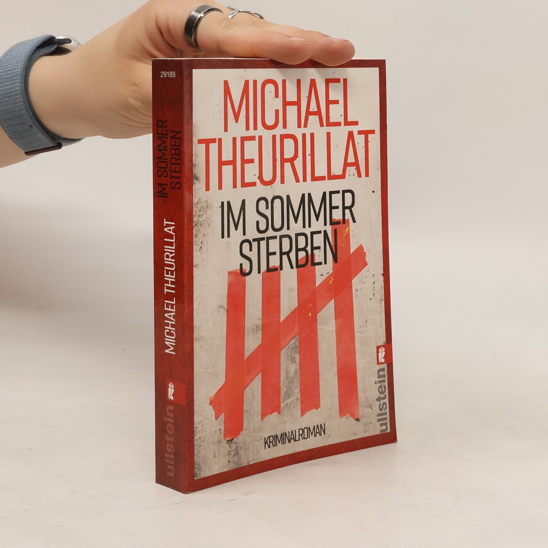 Michael Theurillat Im Sommer sterben