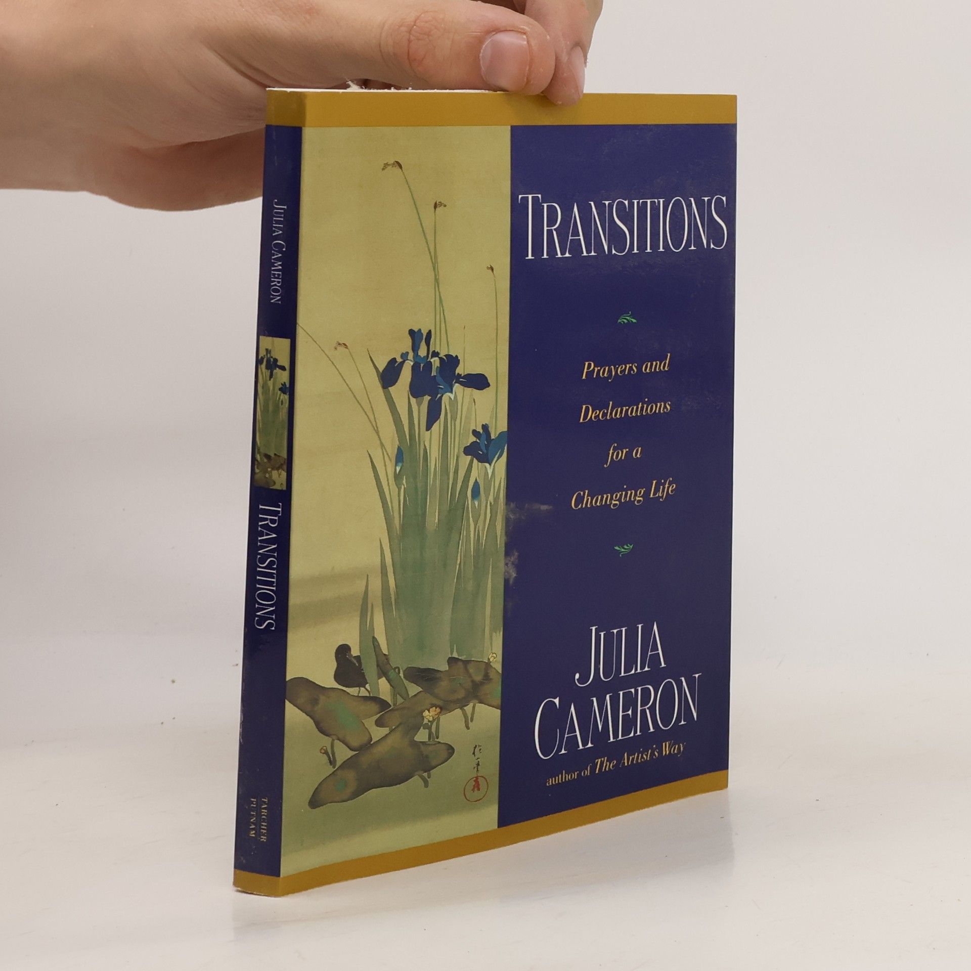 Julia Cameron Transitions