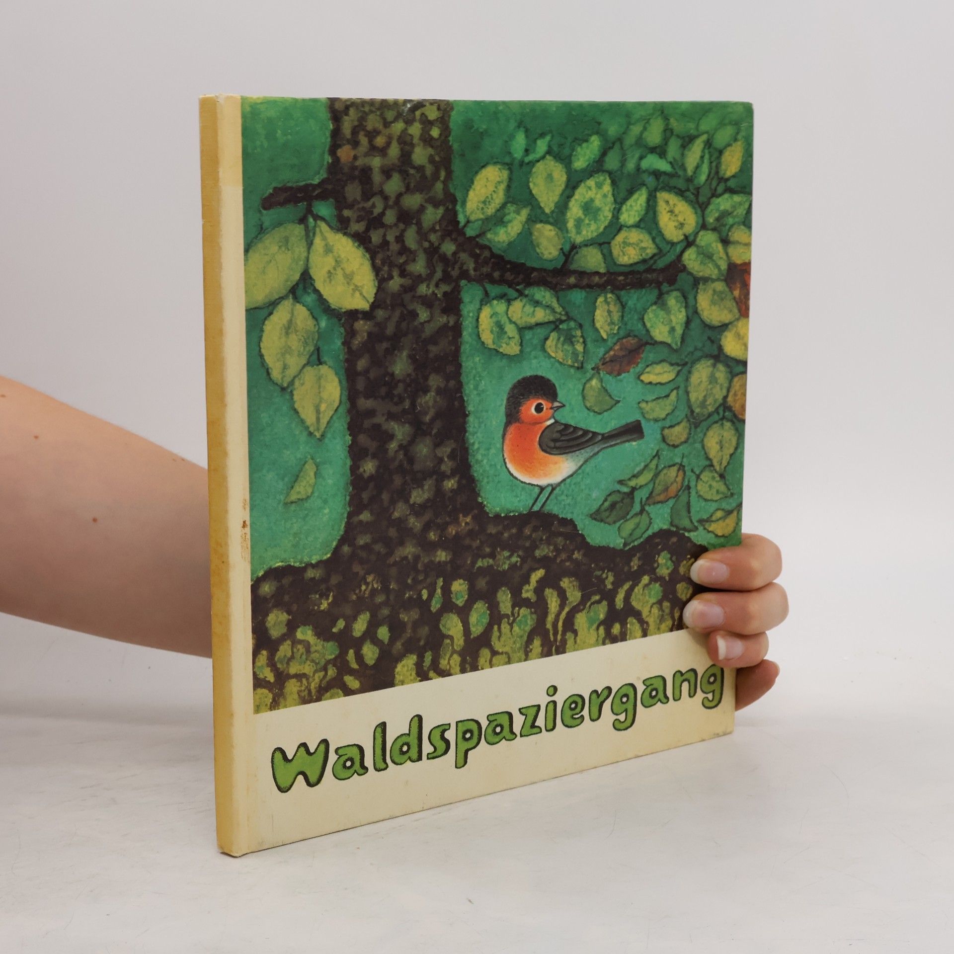 Eva Hinze Waldspaziergang