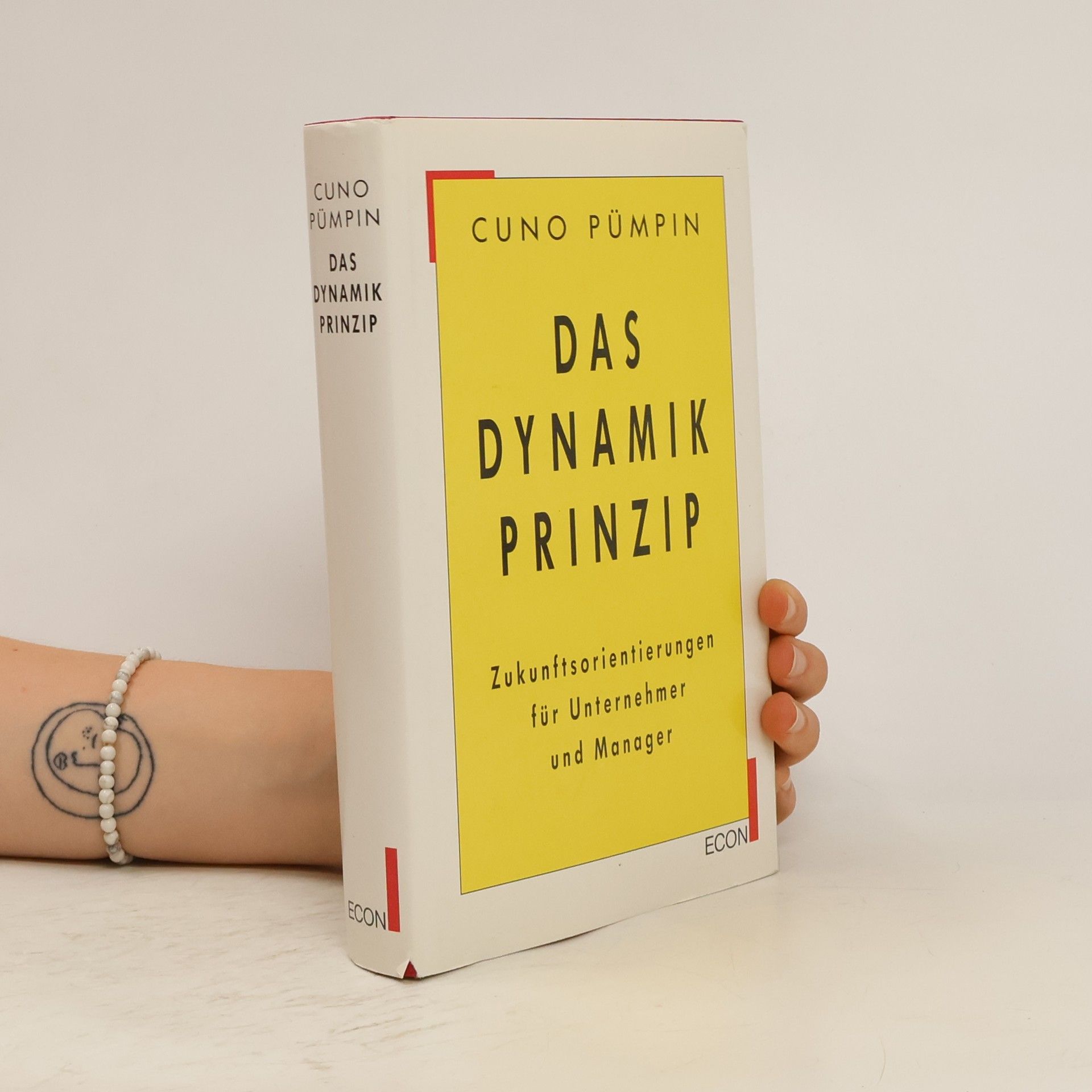 Cuno Pümpin Das Dynamik-Prinzip