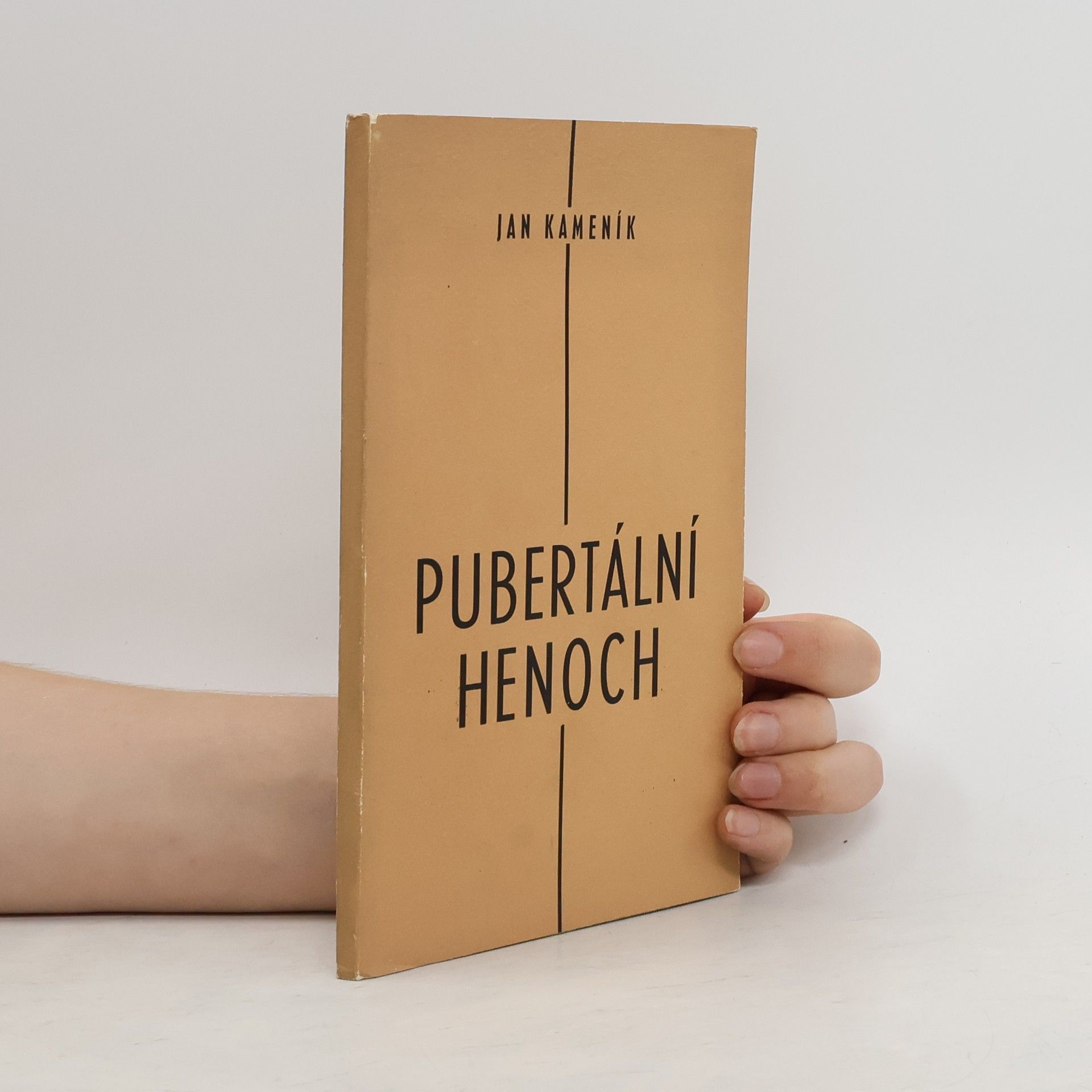 Jan Kameník Pubertální henoch
