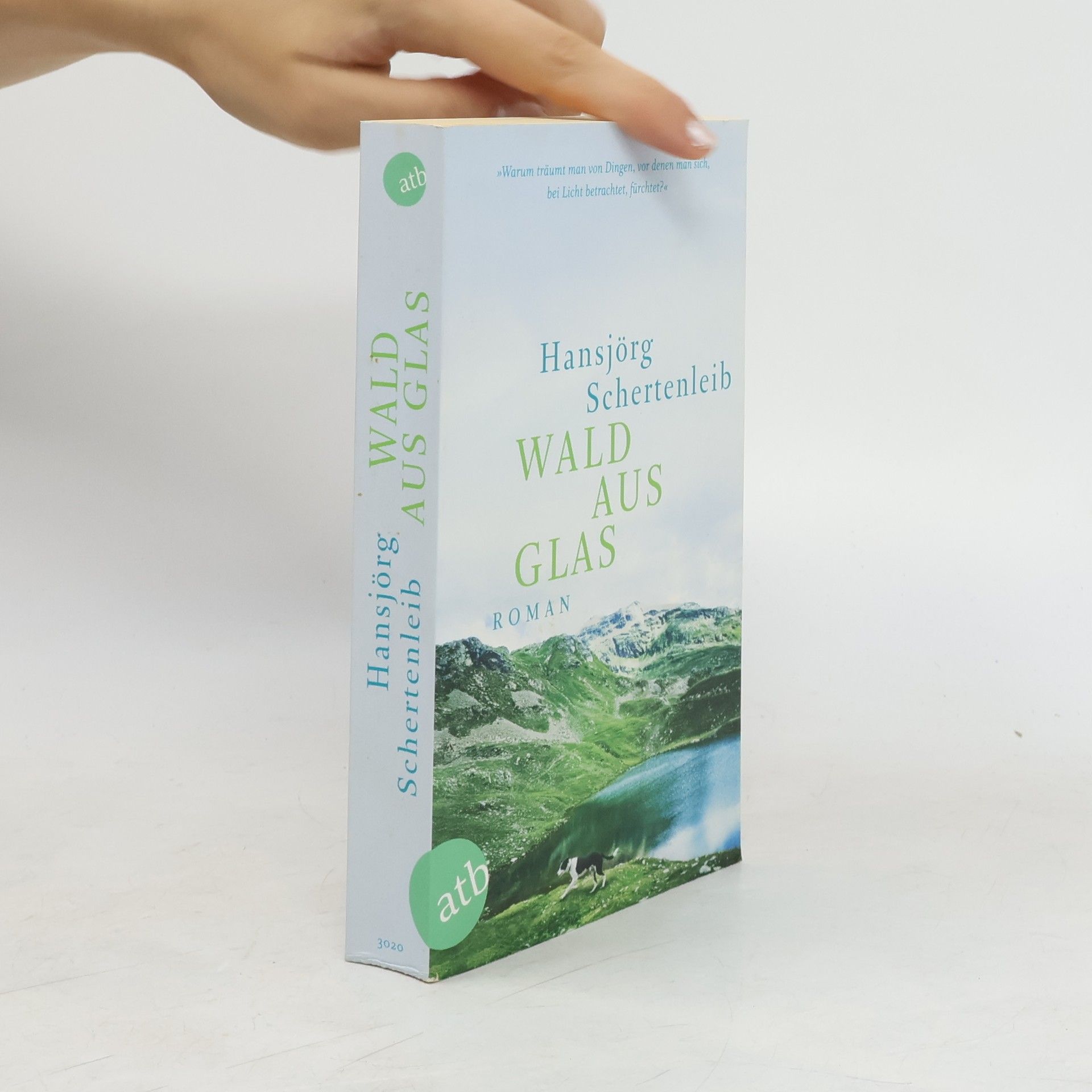Hansjörg Schertenleib Wald aus Glas