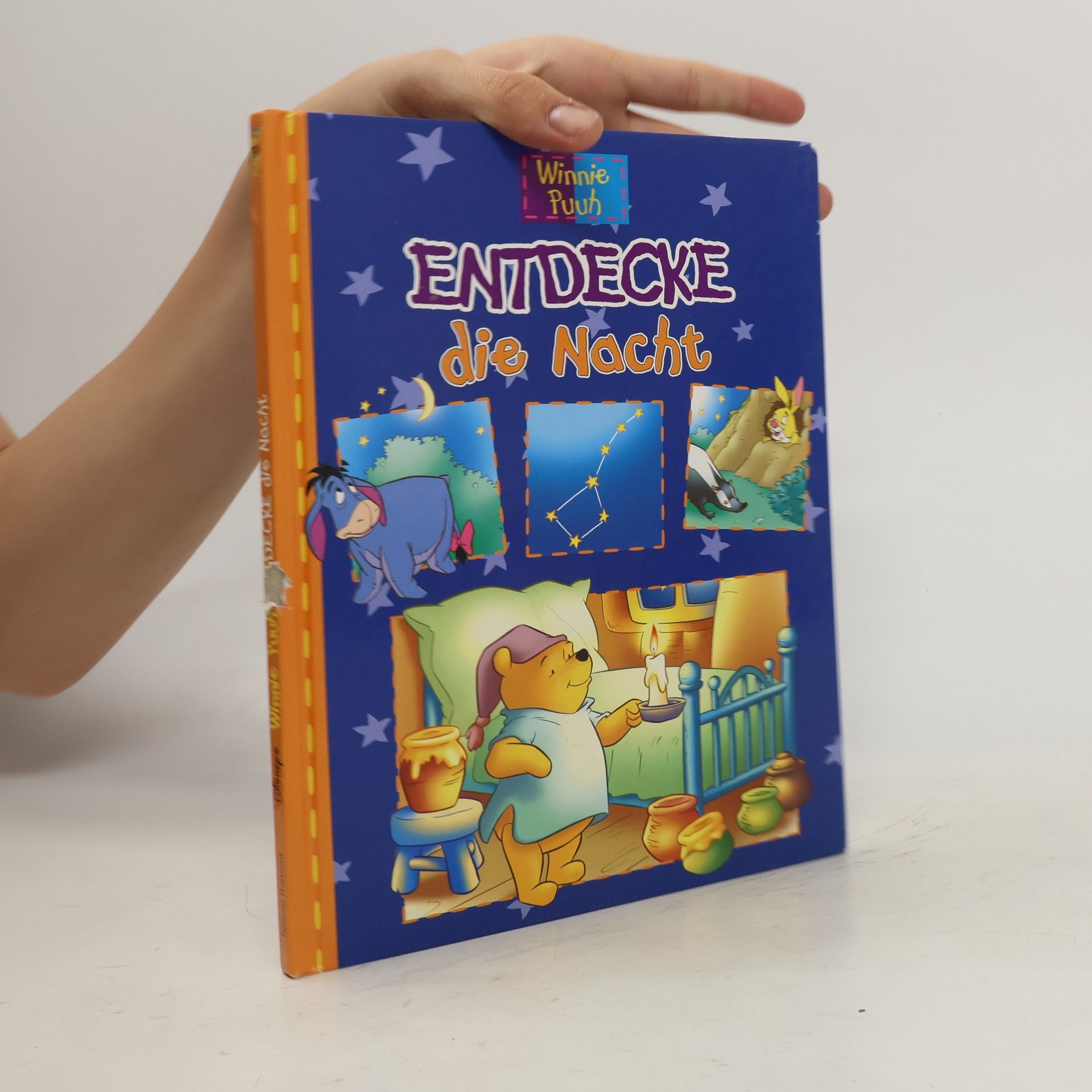 Autorenkollektiv Winnie Puuh: Entdecke die Nacht