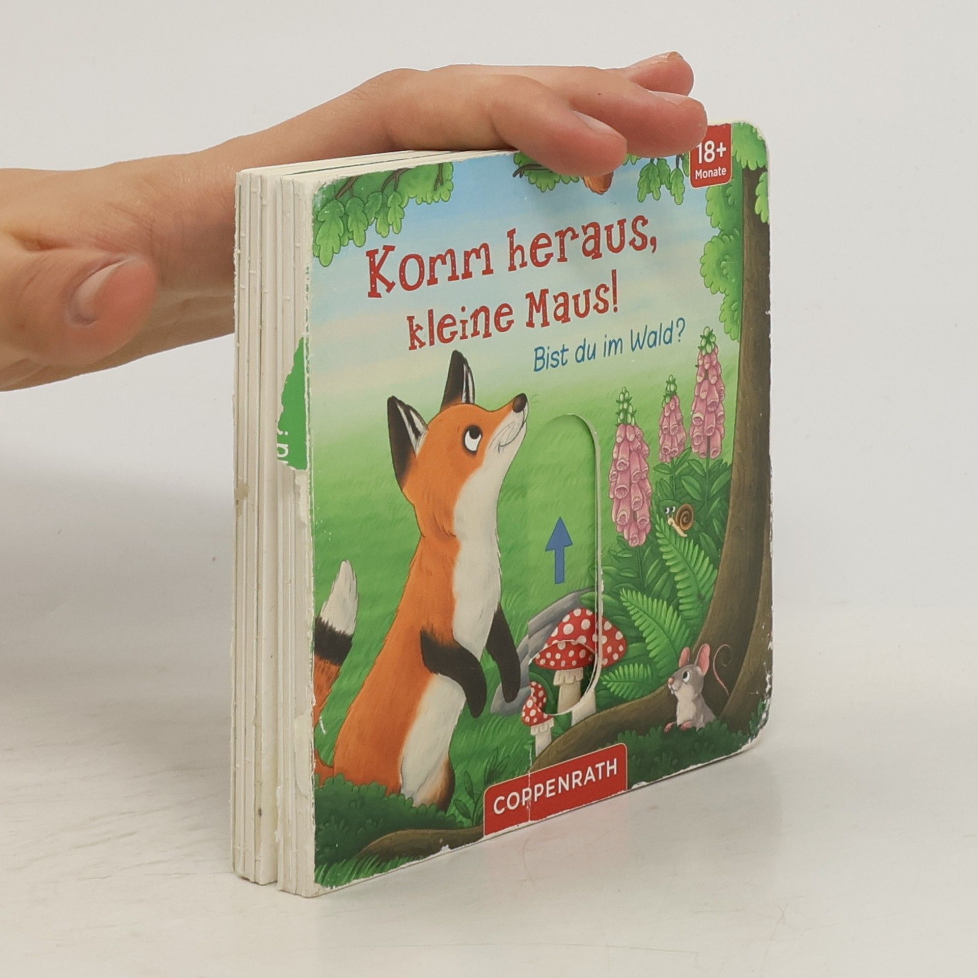 Autorenkollektiv Komm heraus, kleine Maus!