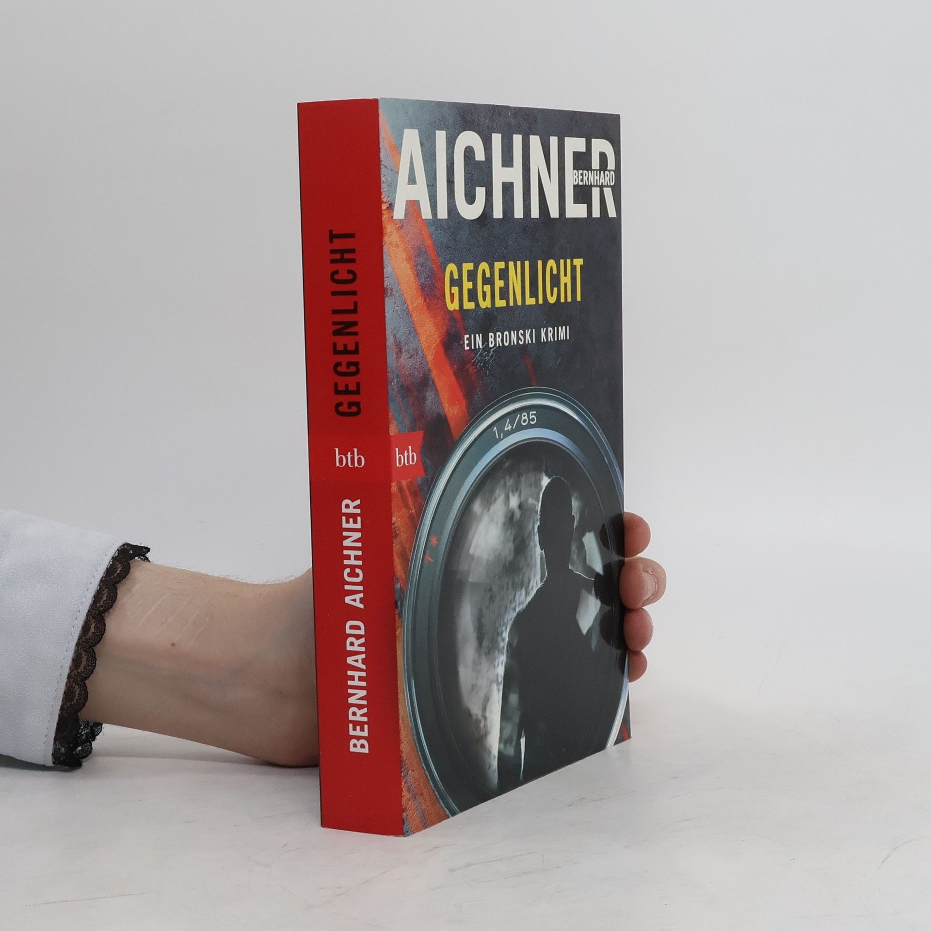 Bernhard Aichner Gegenlicht