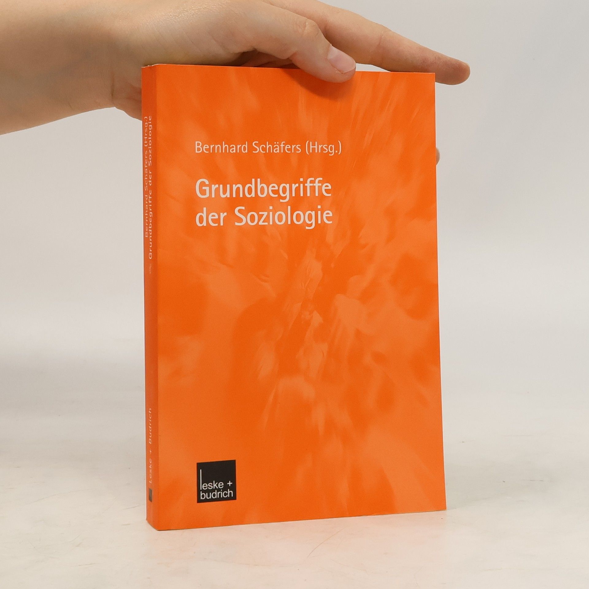 Bernhard Schäfers Grundbegriffe der Soziologie