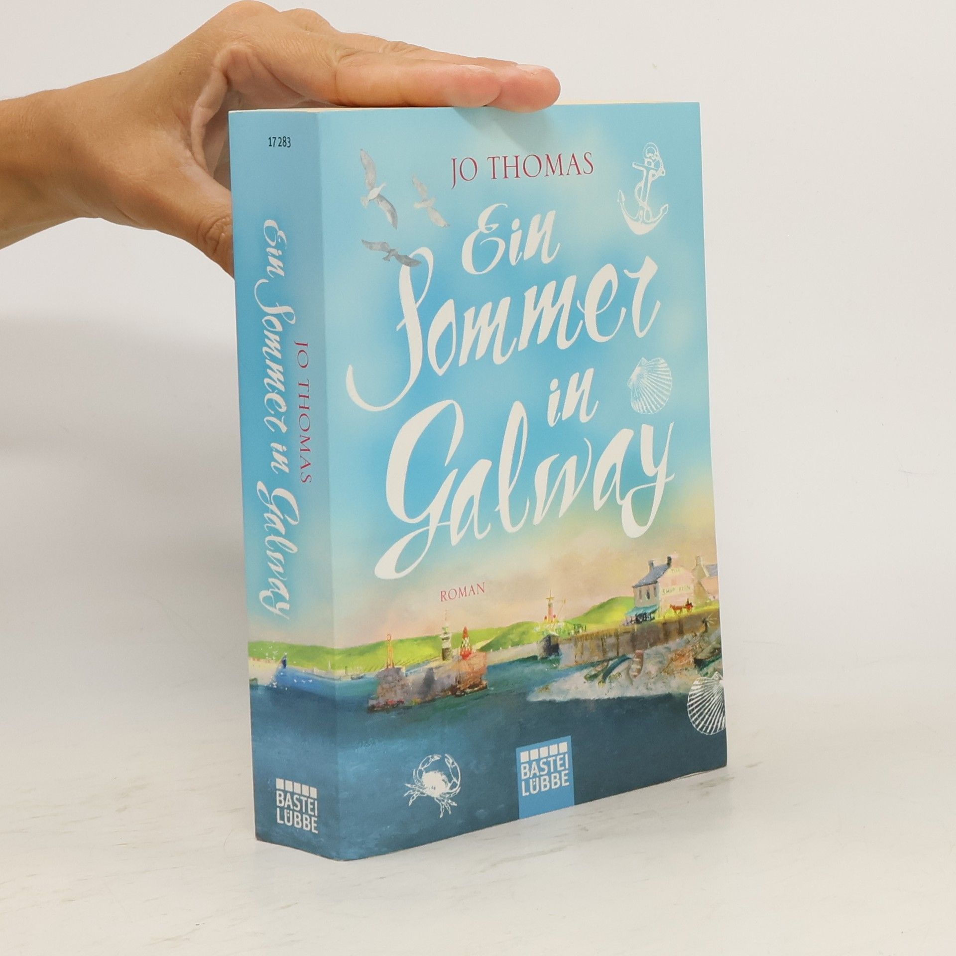 Jo Thomas Ein Sommer in Galway
