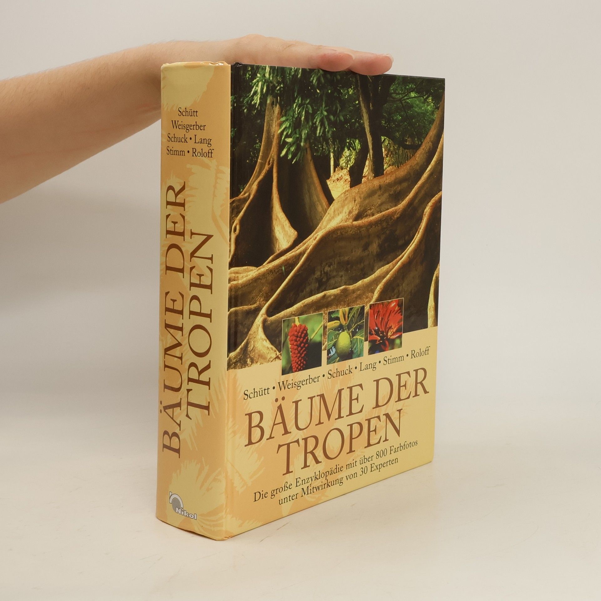 Peter Schütt Bäume der Tropen