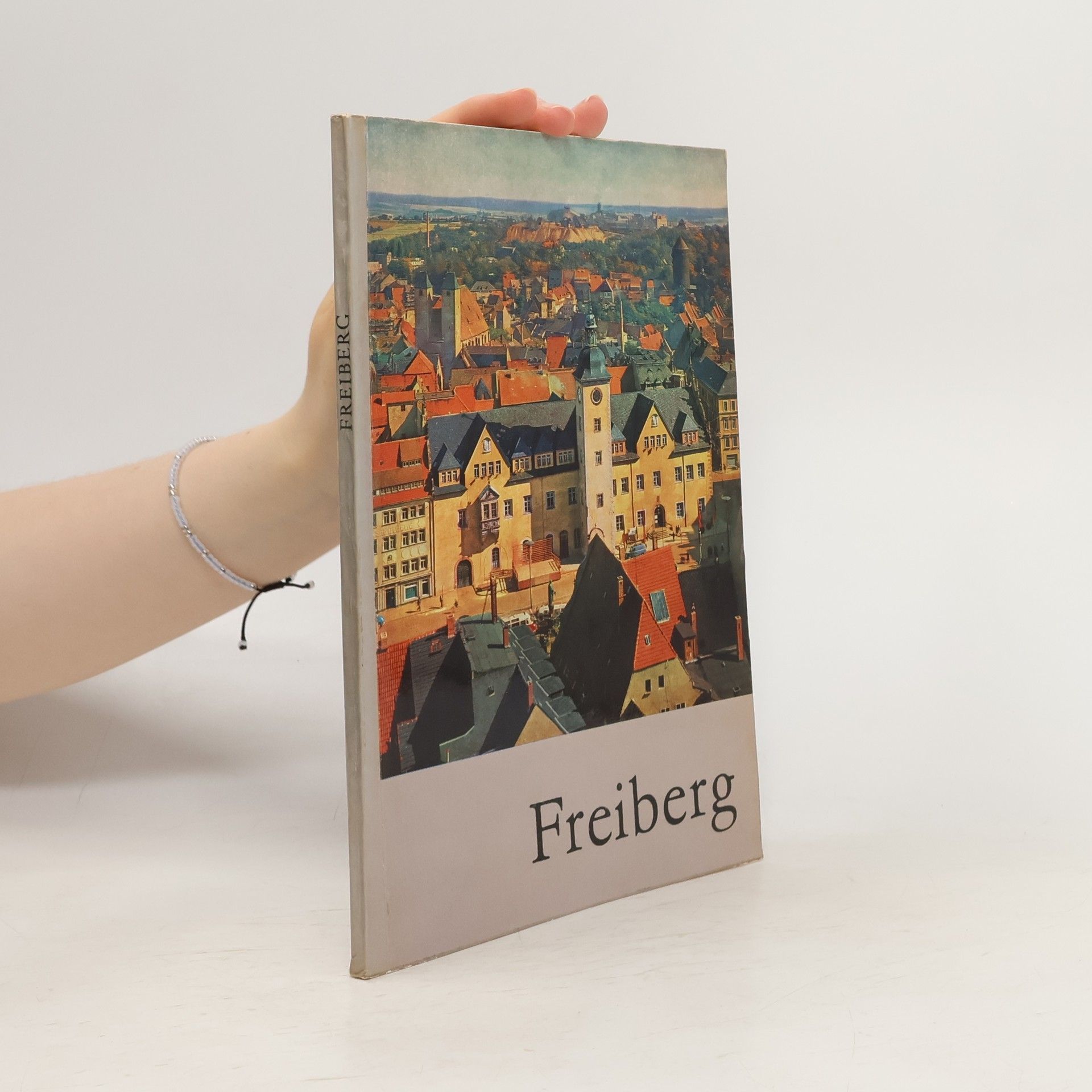 Collectif d'auteurs Freiberg