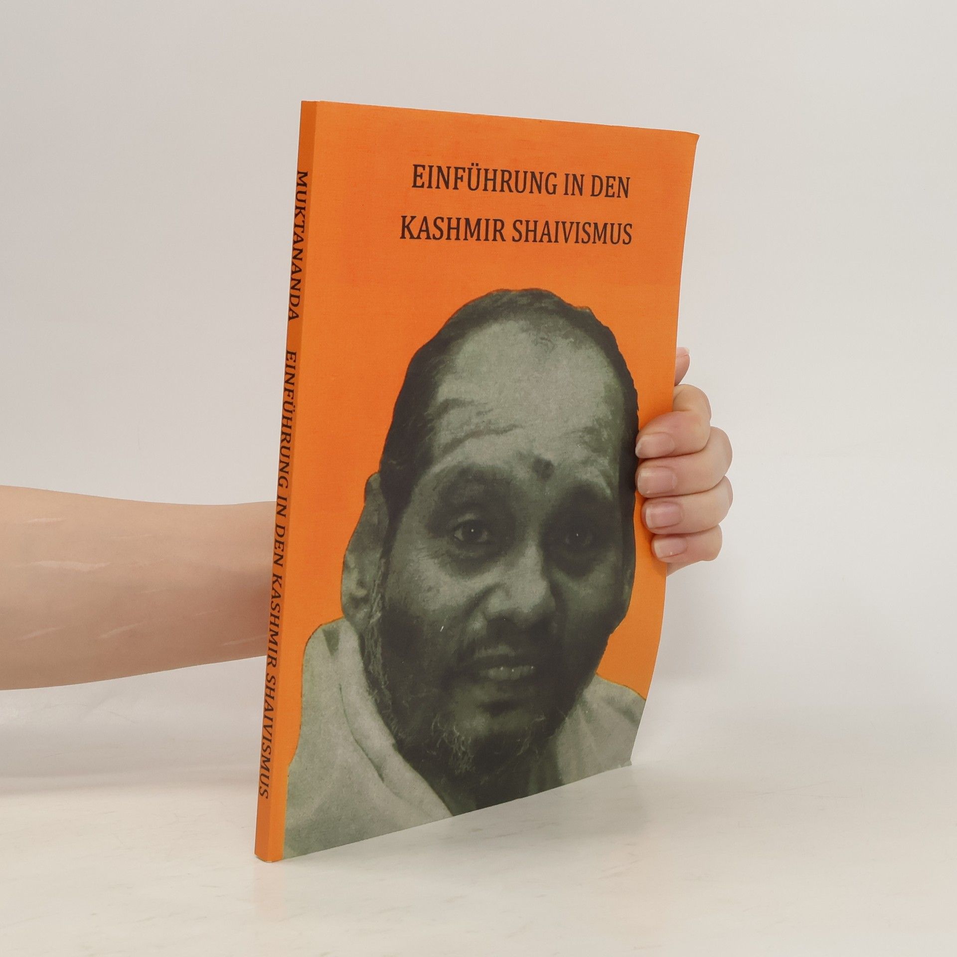 Autorenkollektiv Einführung in den Kashmir Shivaismus