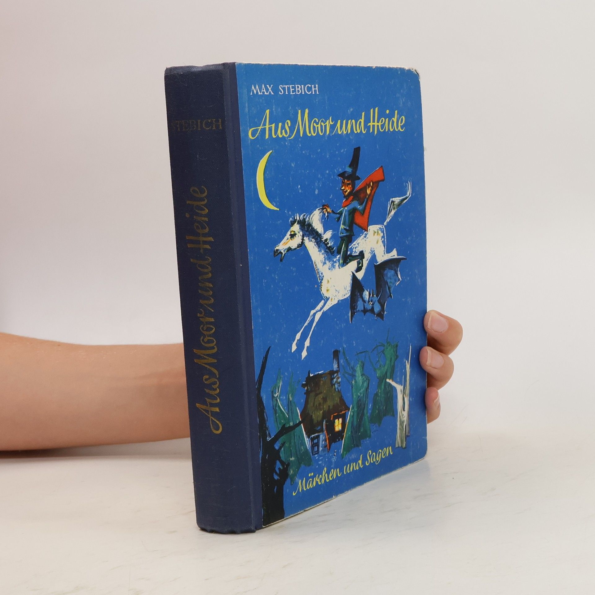 Max Stebich Aus Moor und Heide