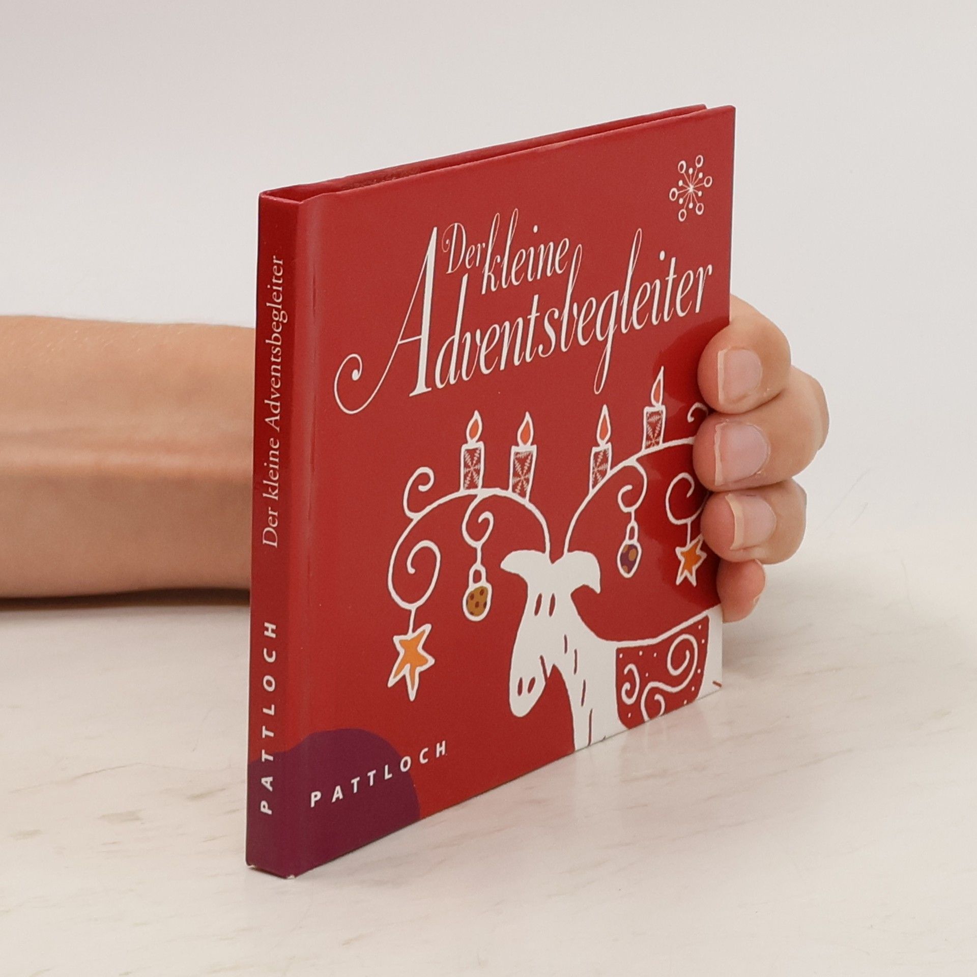 Christine Rechl Der kleine Adventsbegleiter