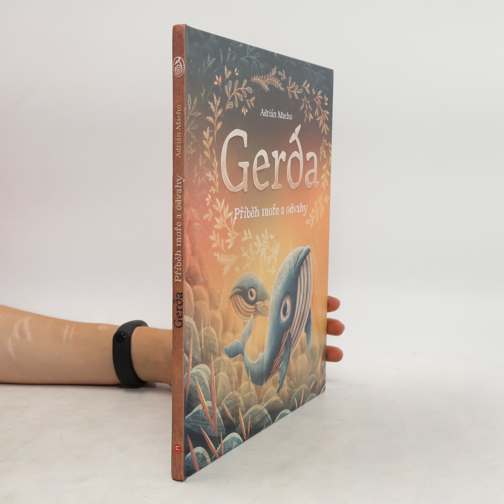 Adrián Macho Gerda: Příběh moře a odvahy