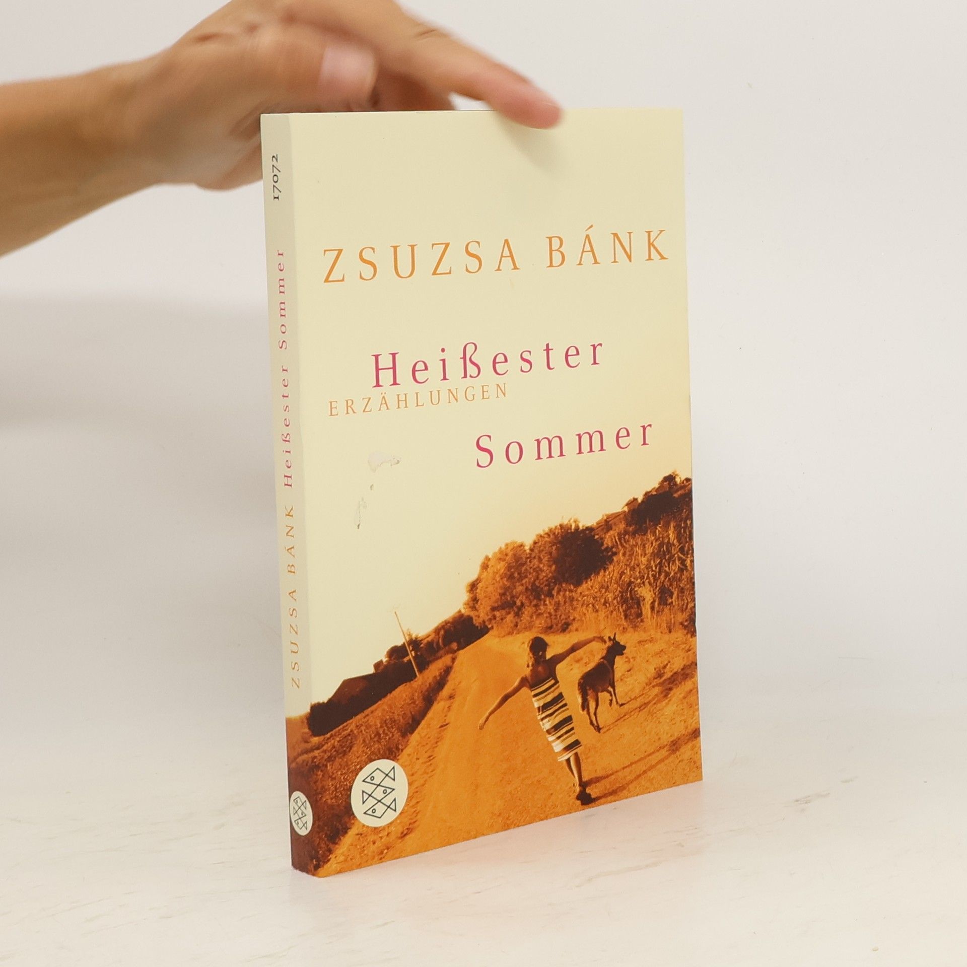 Zsuzsa Bánk Heißester Sommer