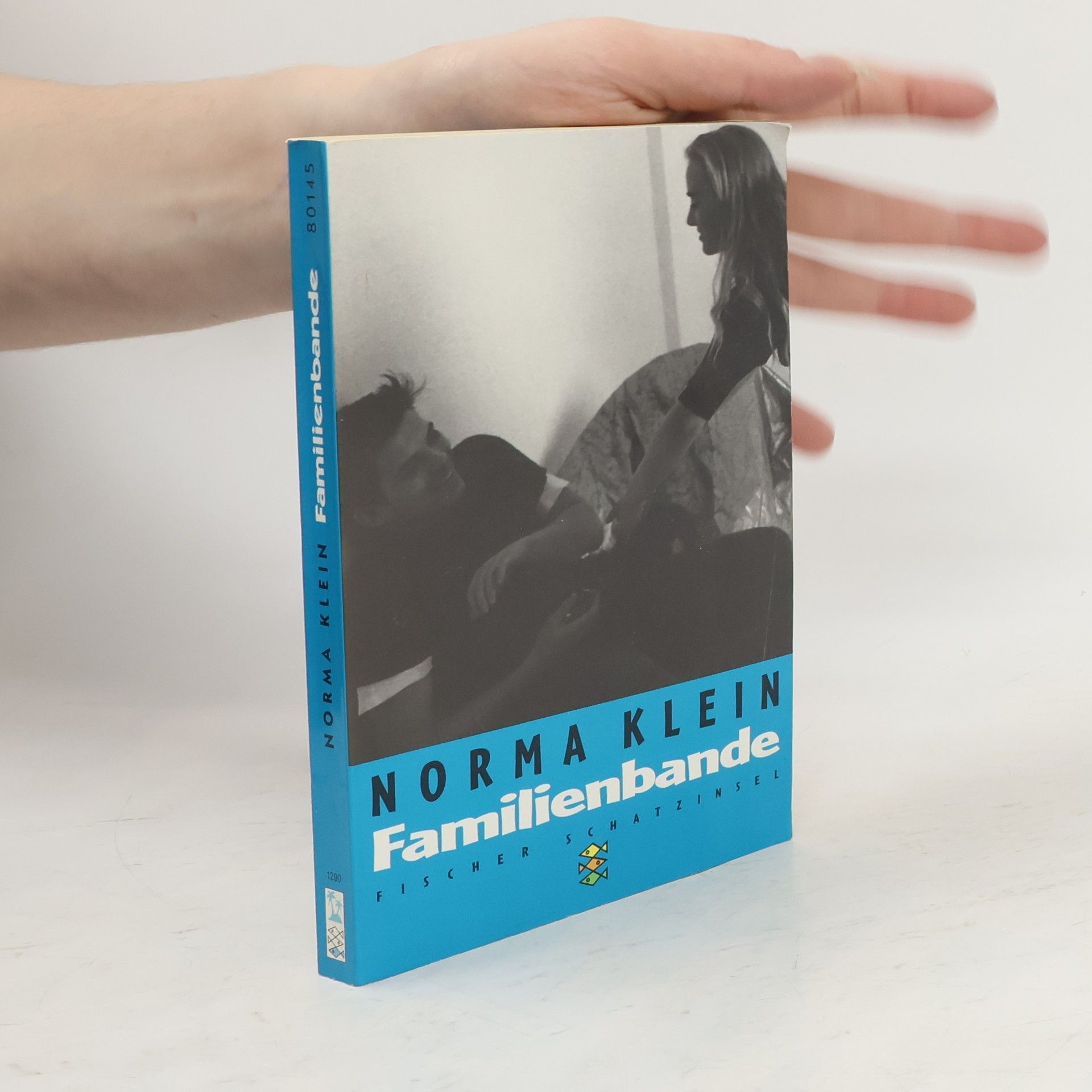 Norma Klein Familienbande