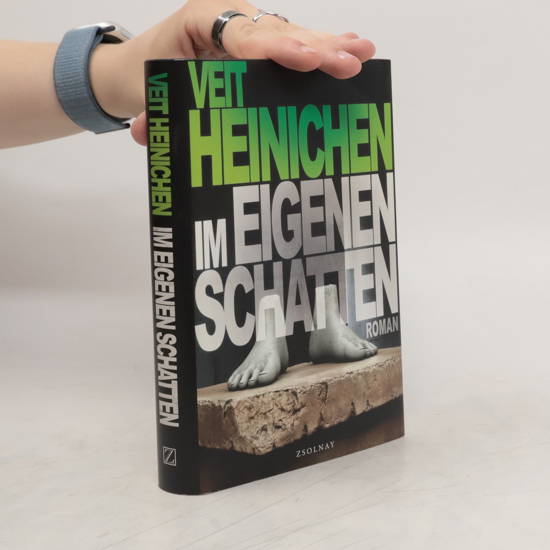 Veit Heinichen Im eigenen Schatten
