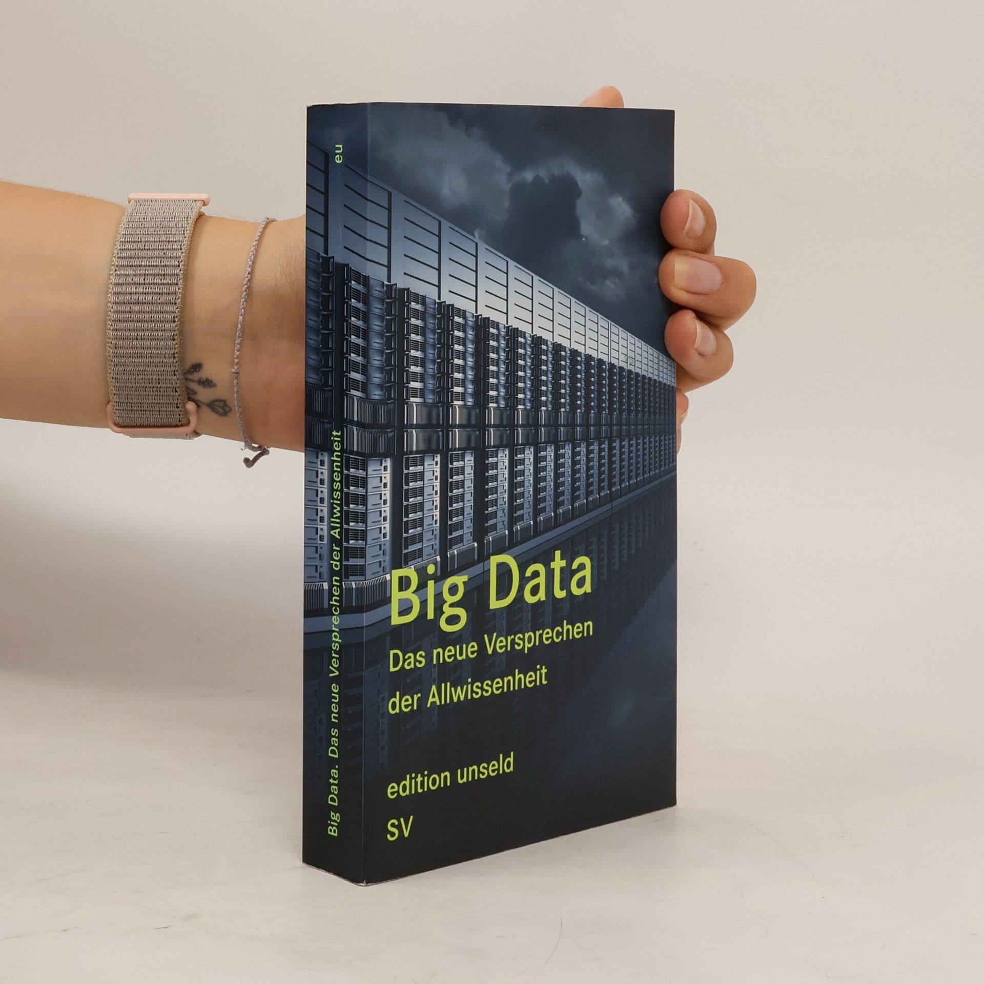 Collective Big Data. Das neue Versprechen der Allwissenheit