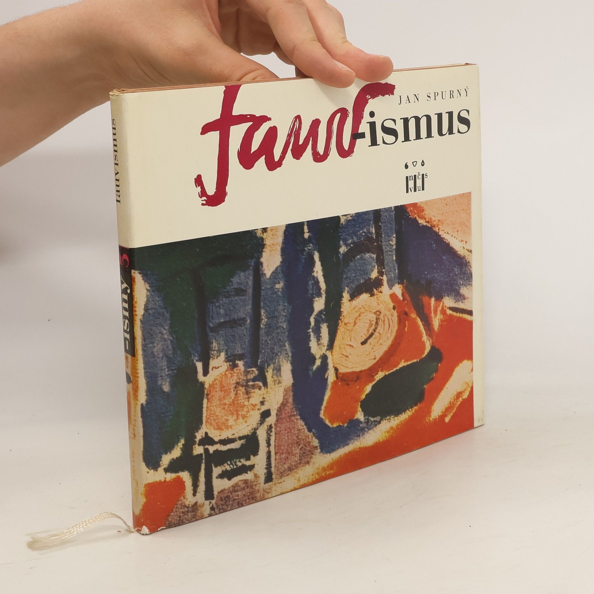 Jan Spurný Fauvismus