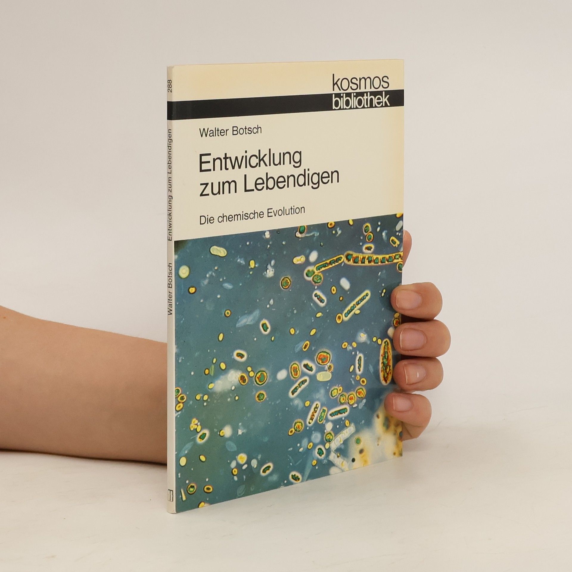 Walter Botsch Entwicklung zum Lebendigen