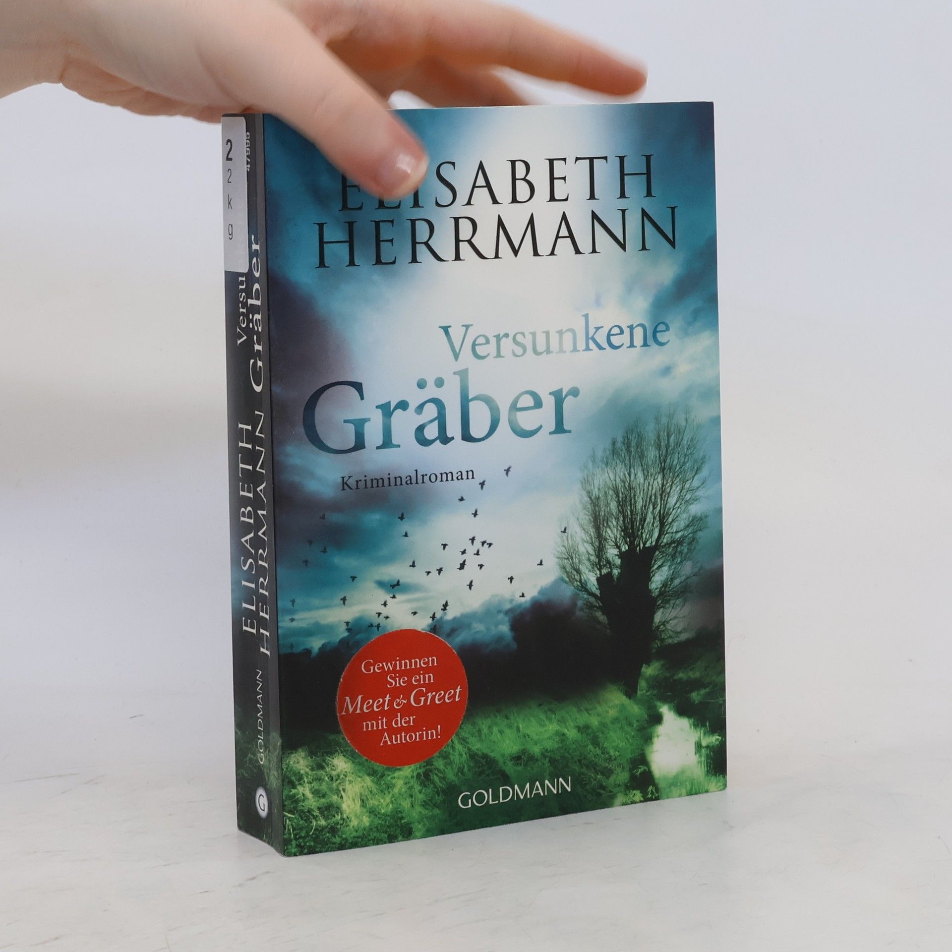 Elisabeth Hermann Versunkene Gräber