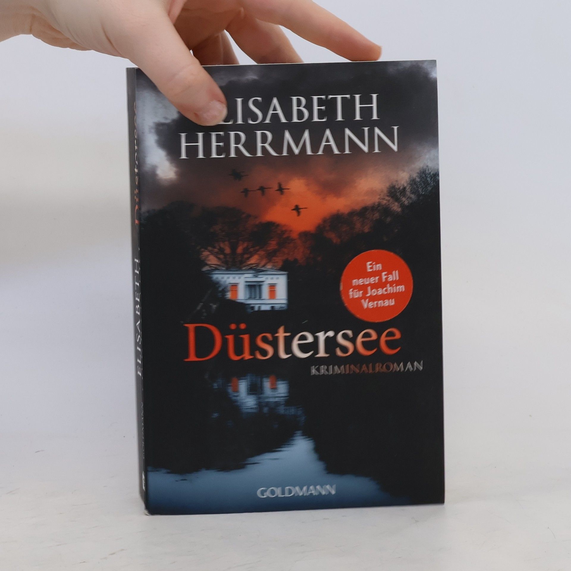 Elisabeth Hermann Düstersee
