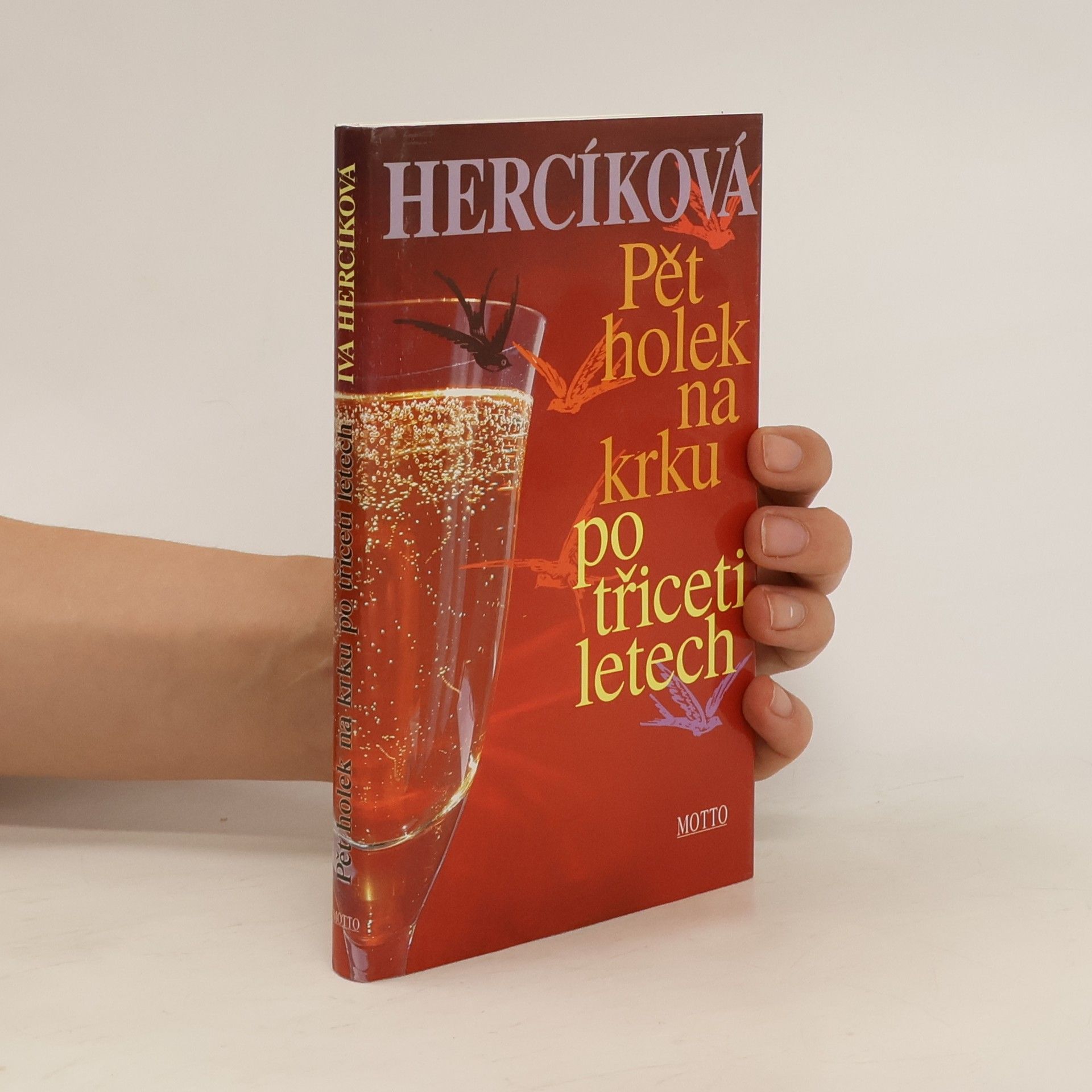 Iva Hercíková Pět holek na krku po třiceti letech