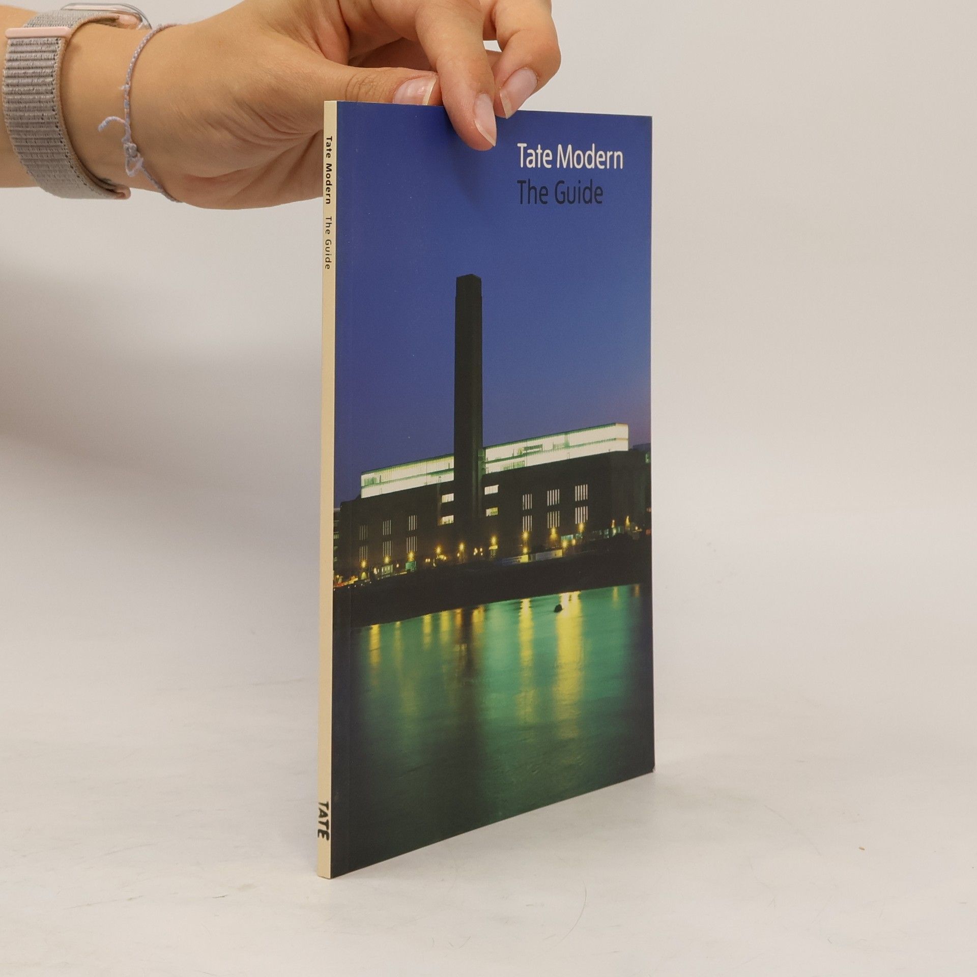 Tate Modern  The Guide