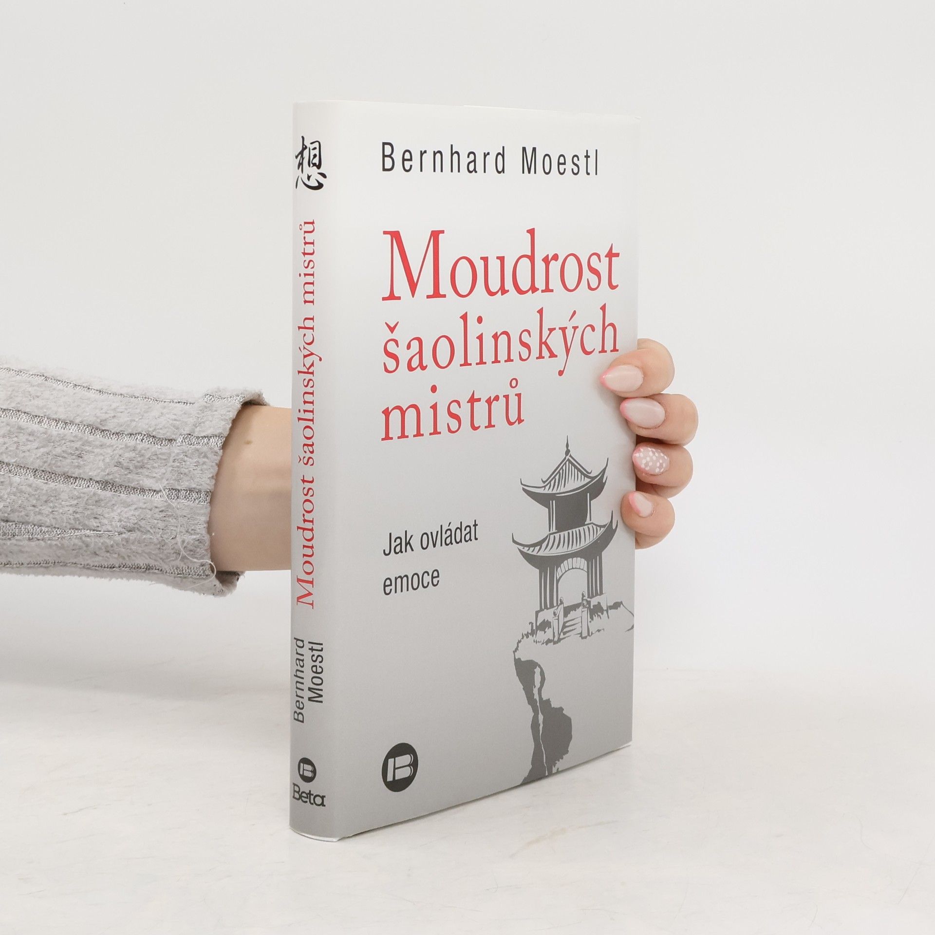 Bernhard Moestl Moudrost šaolinských mistrů