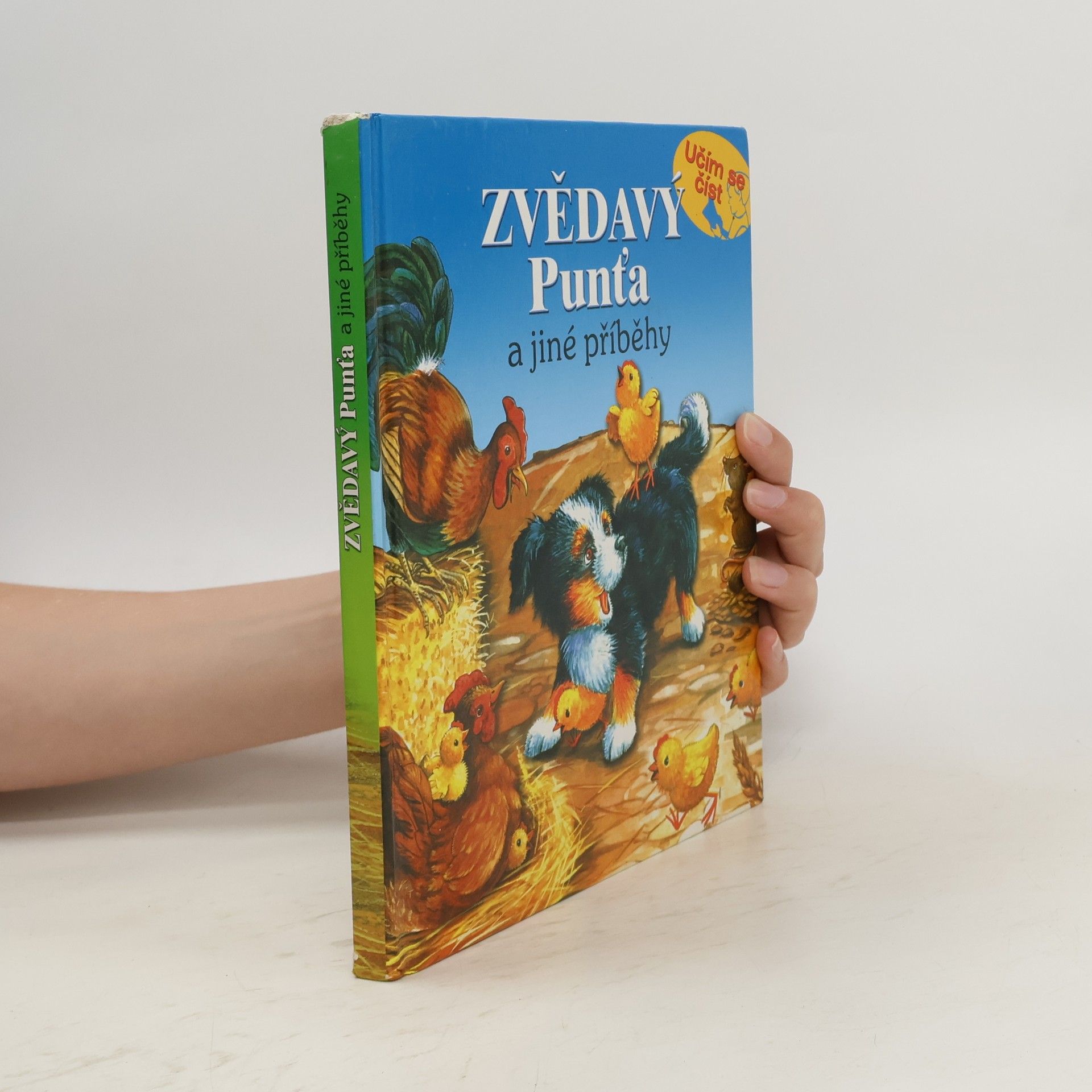 kolektiv Zvědavý Punťa a jiné příběhy