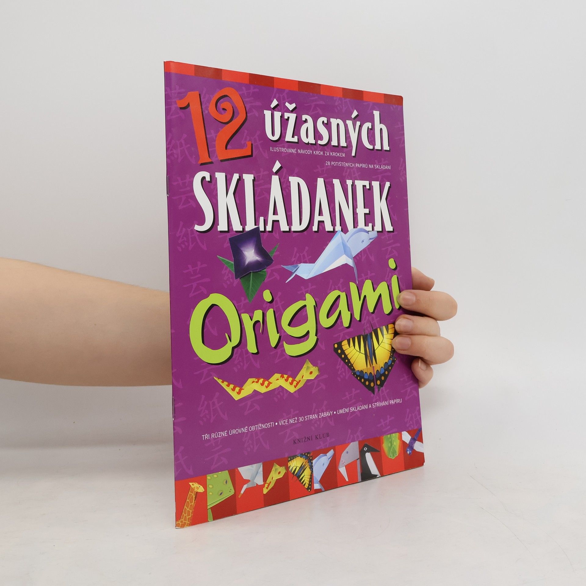Autorenkollektiv 12 úžasných skládanek origami