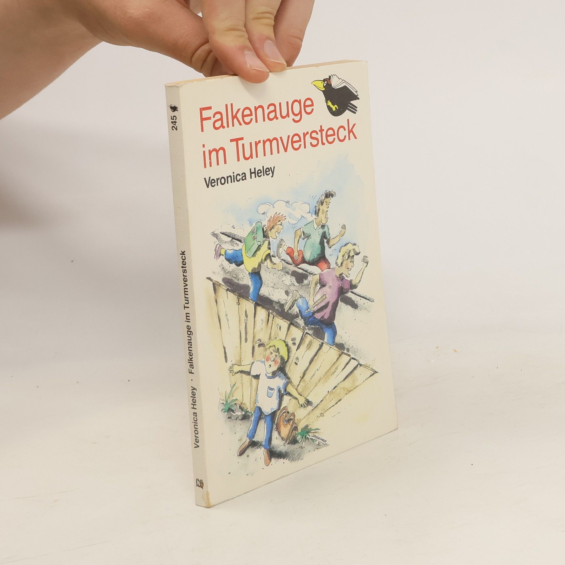 Veronika Heley Falkenauge im Turmversteck
