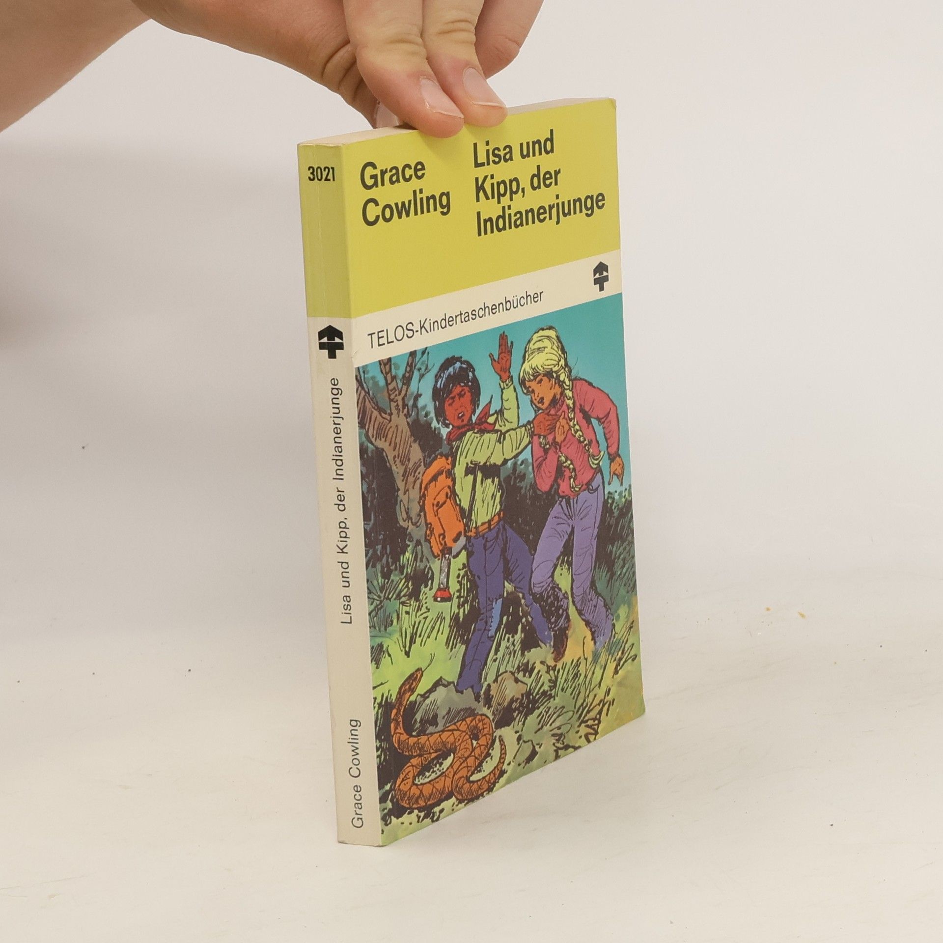 Grace Cowling Lisa und Kipp, der Indianerjunge
