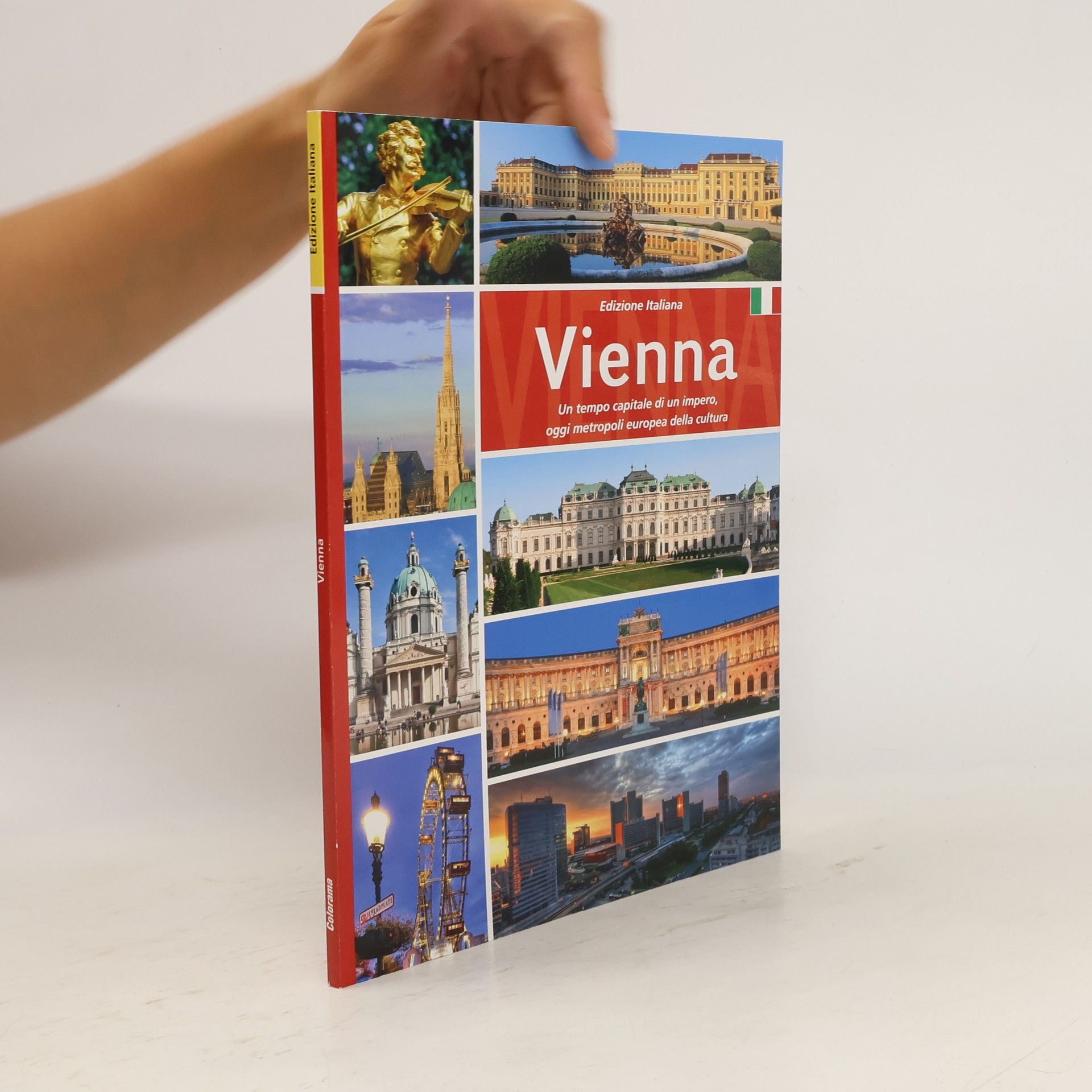 Bernhard Helminger Vienna